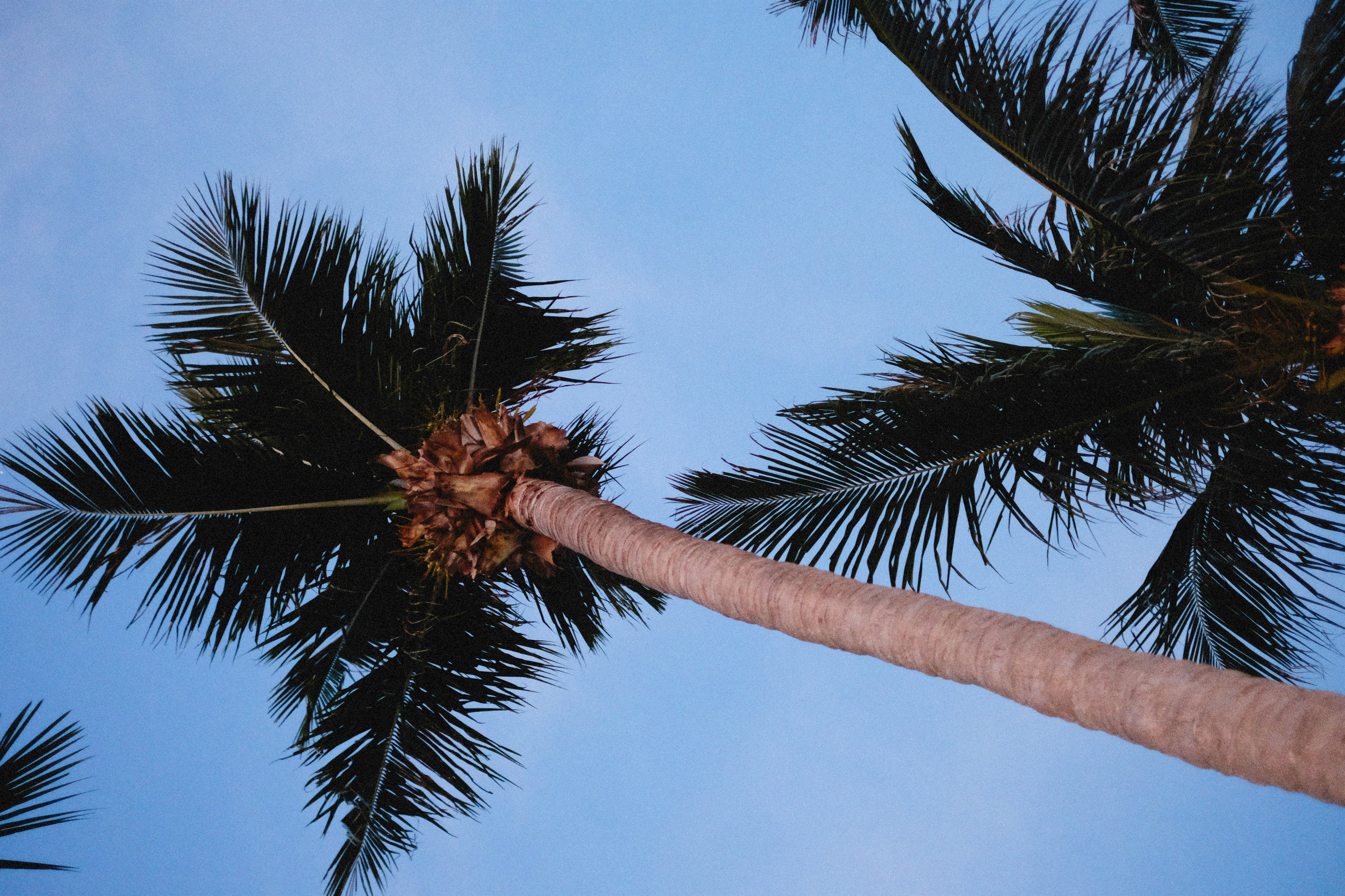 Photo by alexeydemidov