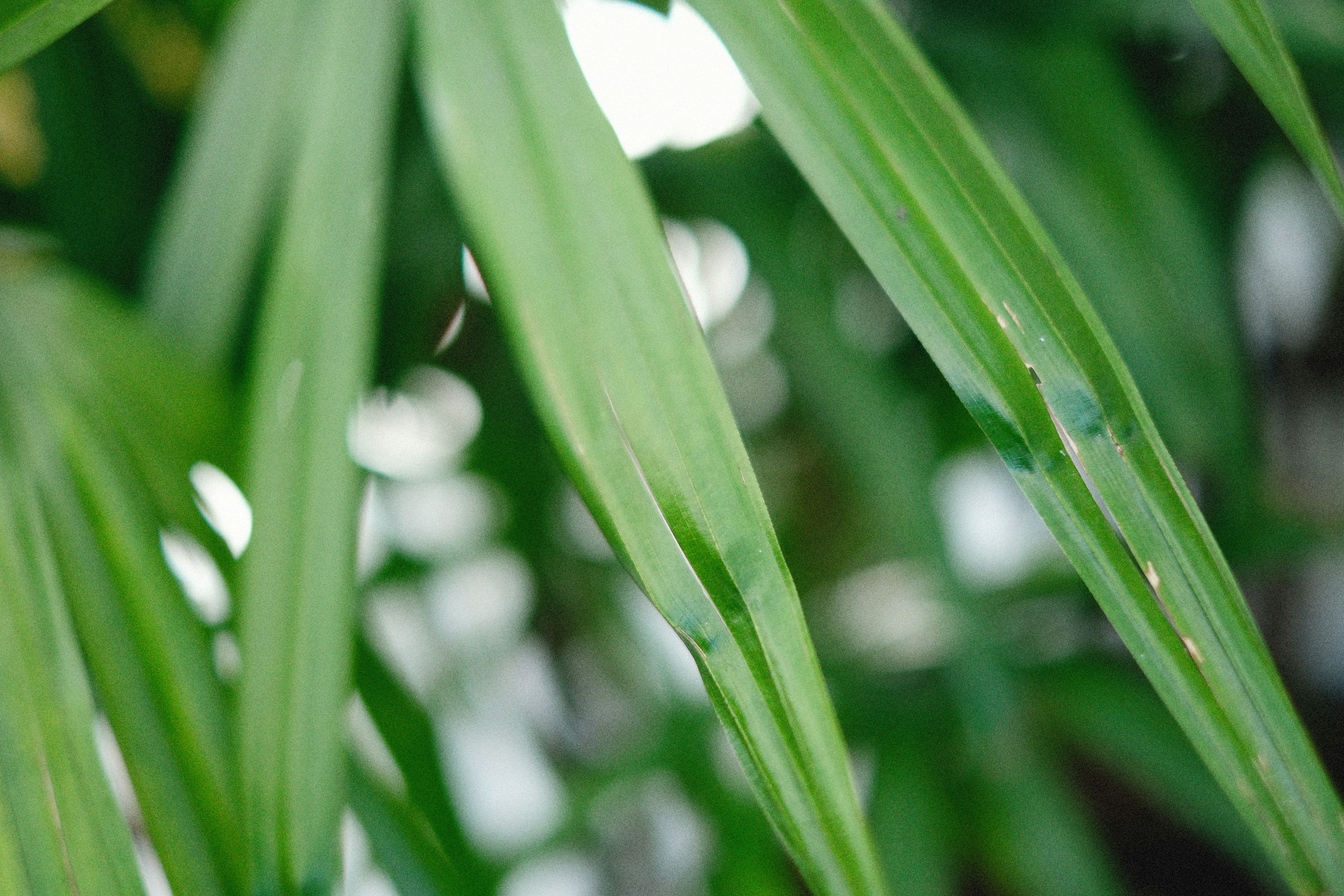 Photo by alexeydemidov