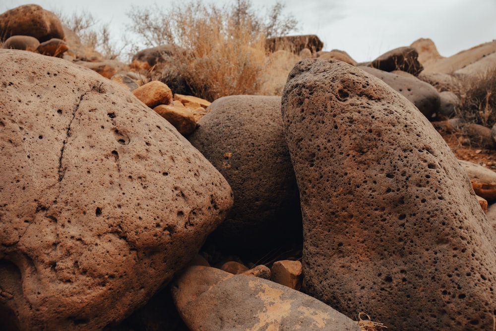 a group of rocks