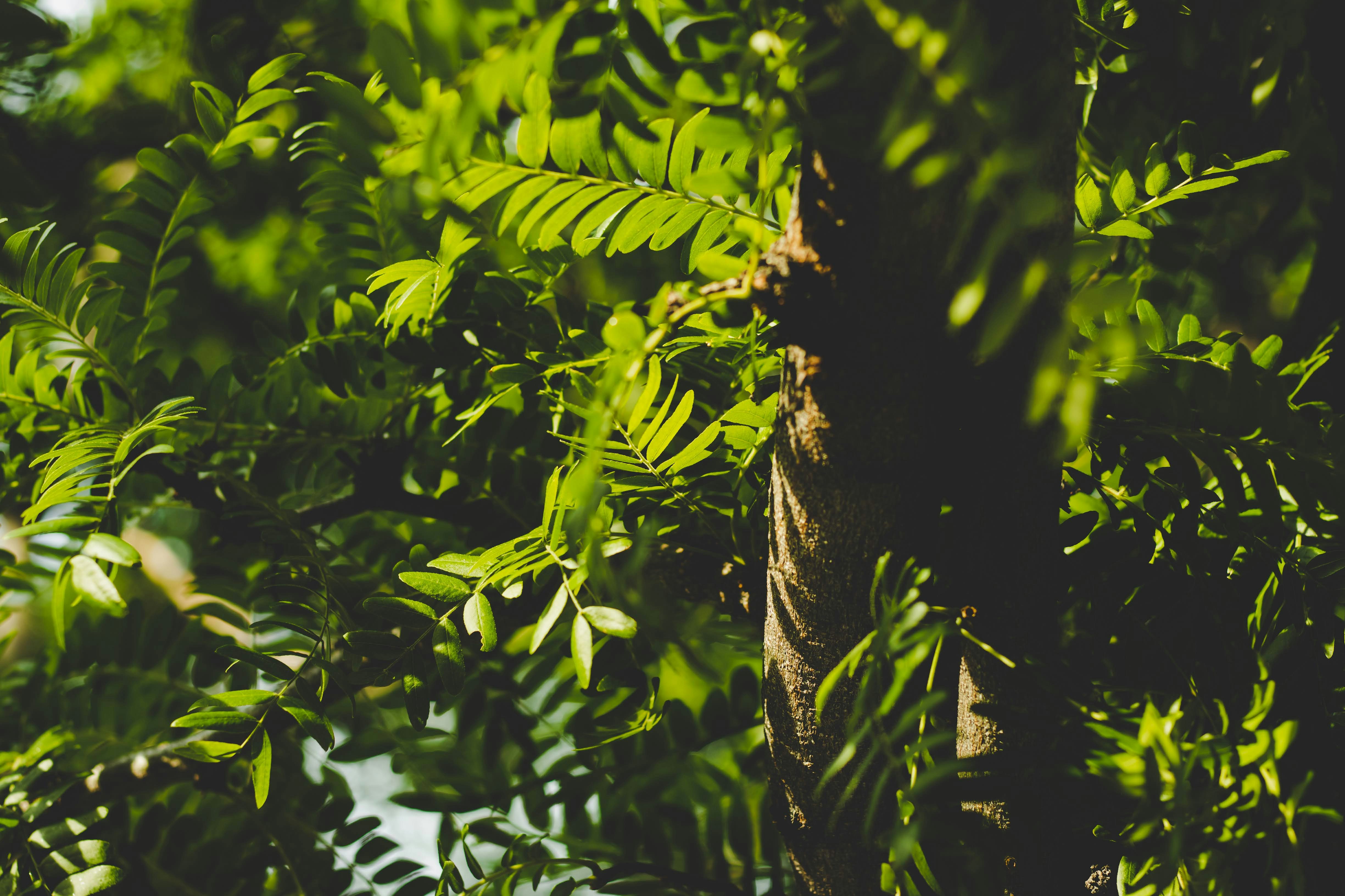 Photo by brice_cooper18