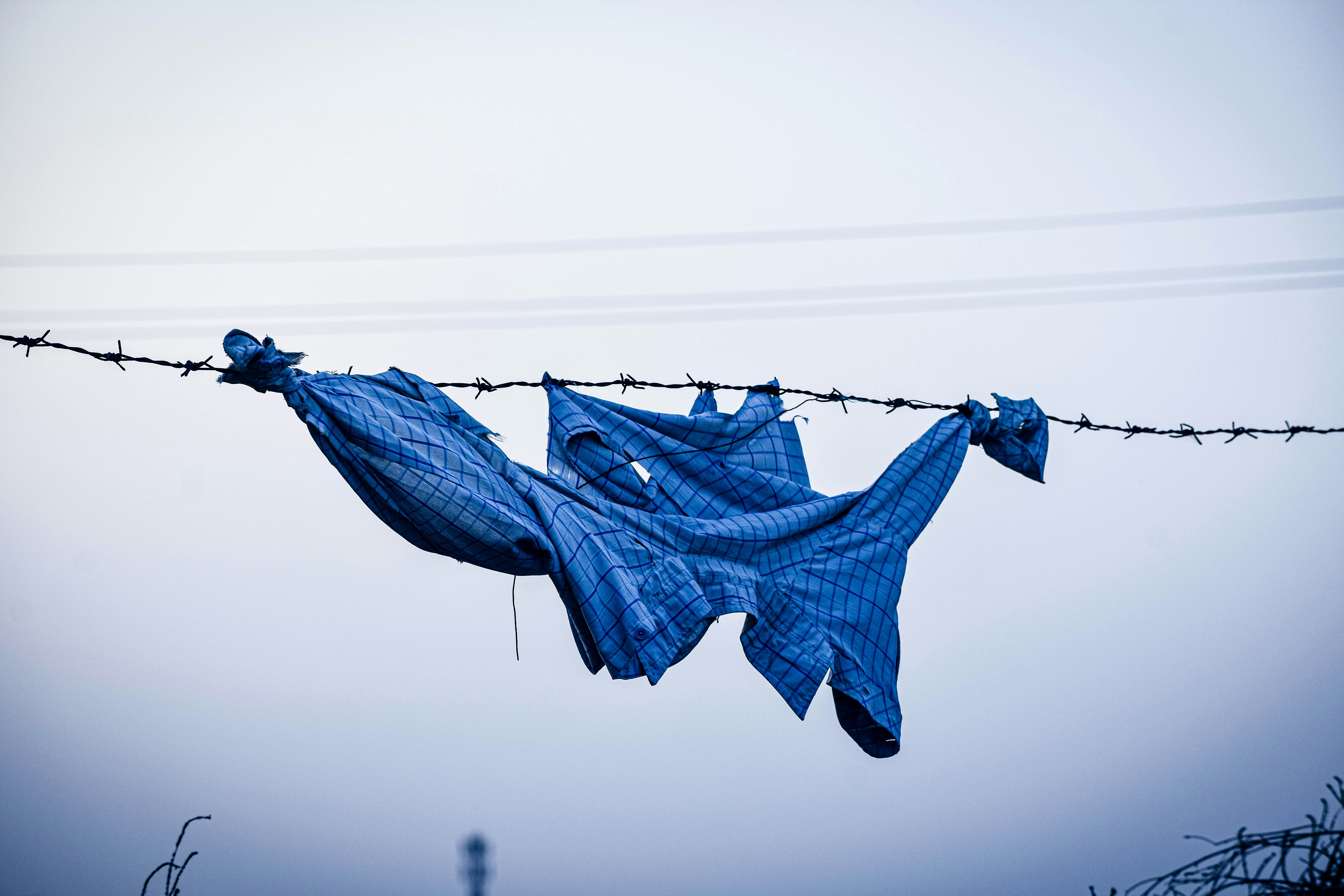 Photo by tomartist567