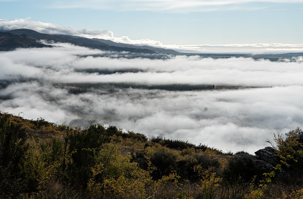 a view of a forest and clouds