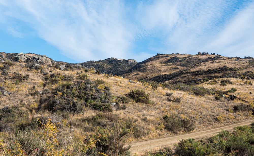 a landscape with hills and bushes