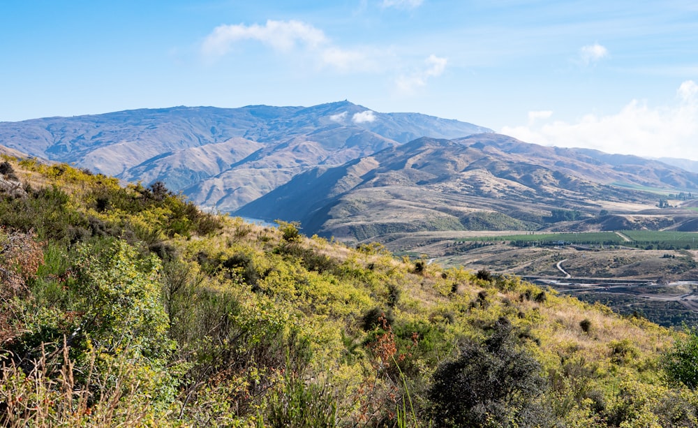 a landscape with trees and mountains in the background