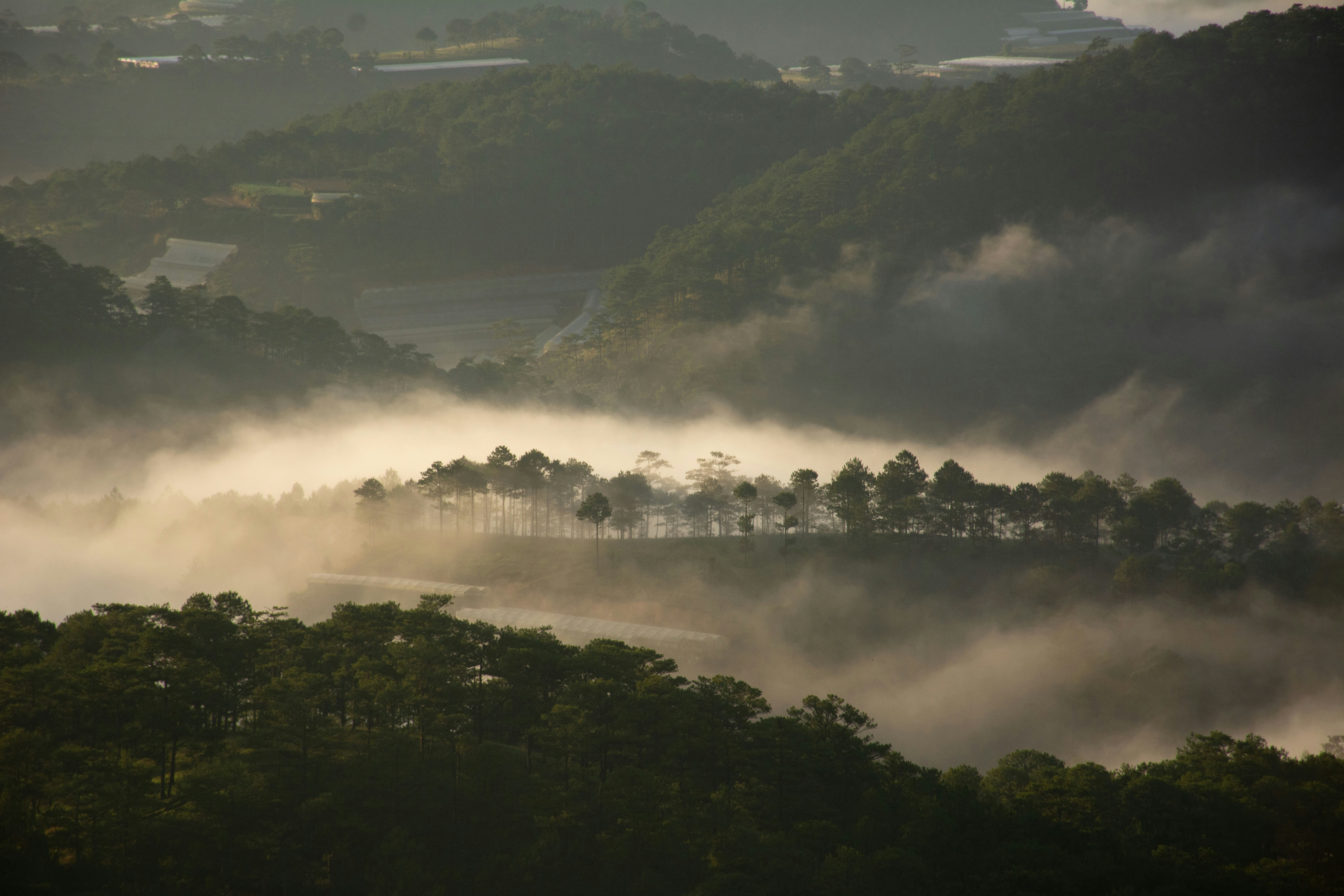 Photo by therapist_photo