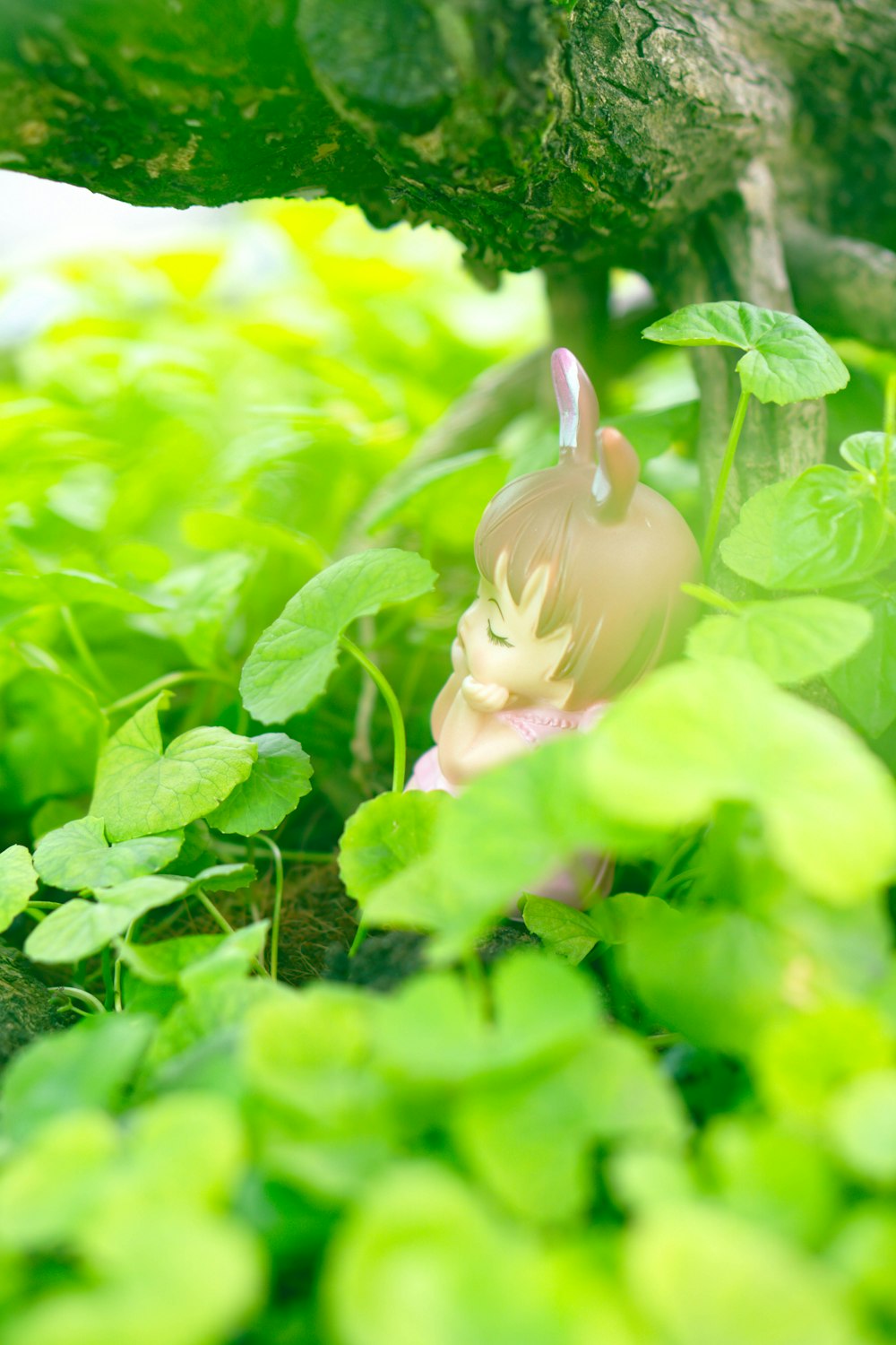 a small bunny in a bush