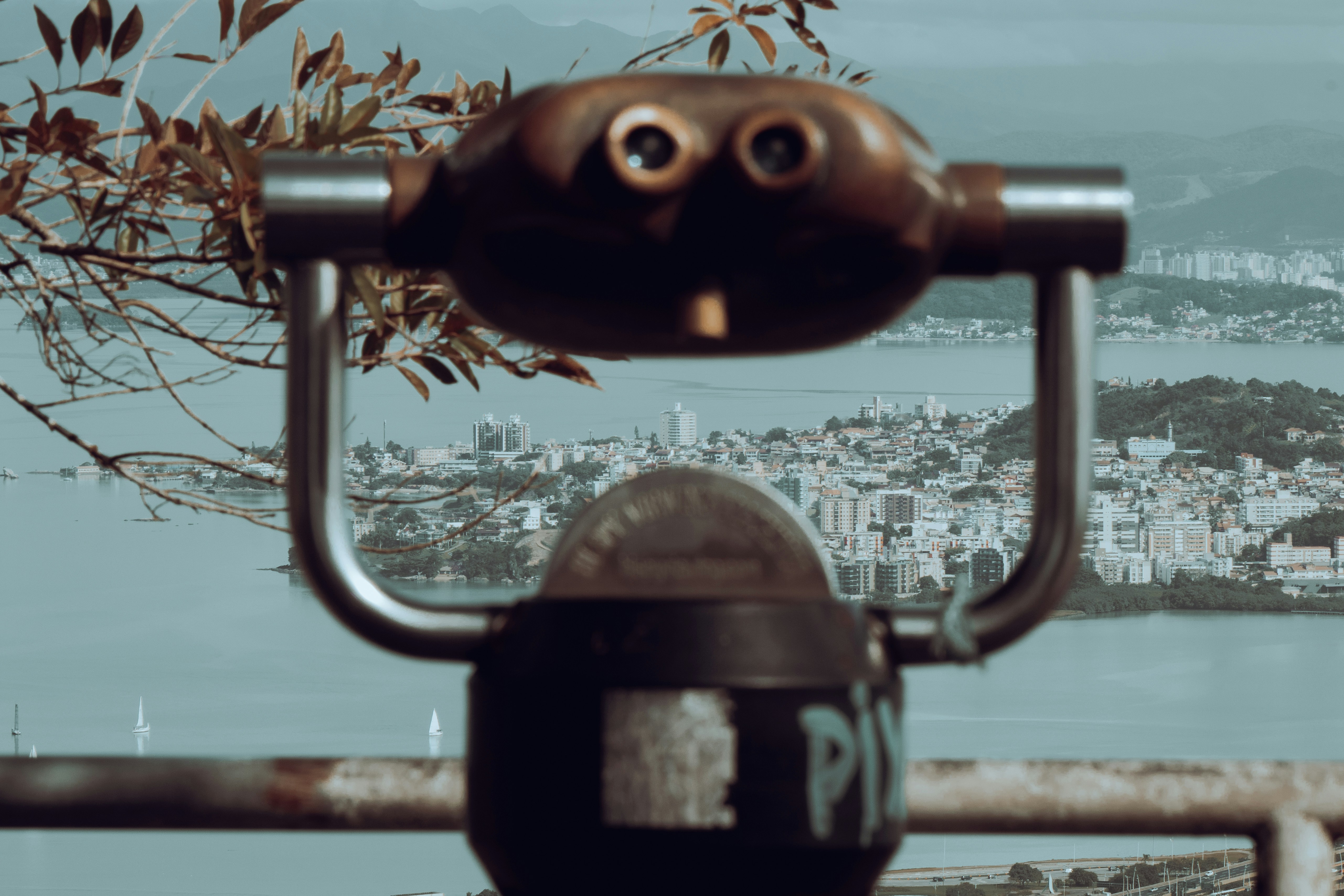 Log What You See: Wildlife Observations, Photos, and User Profiles