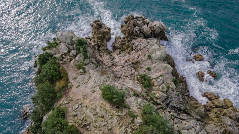 a rocky beach with trees and water