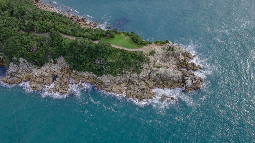 a rocky island with trees