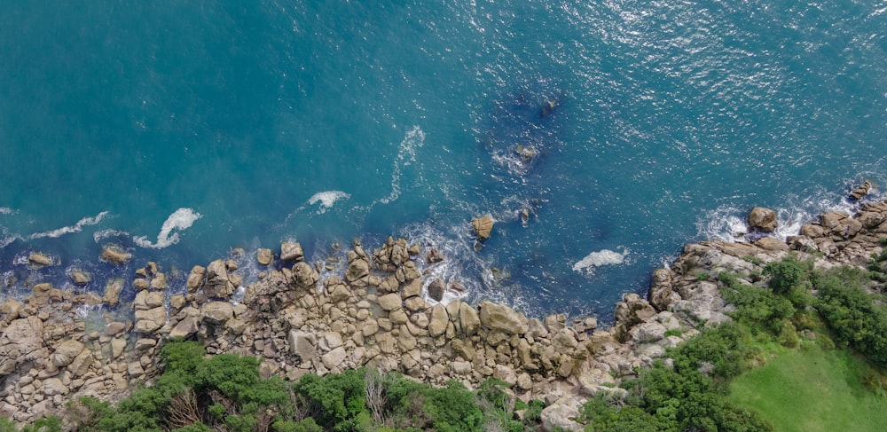 a rocky beach with trees and water