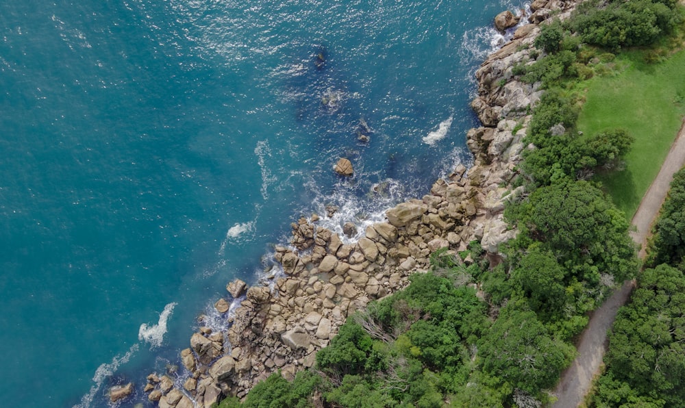 water next to the rock