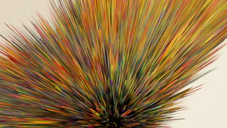 a close up of a feather