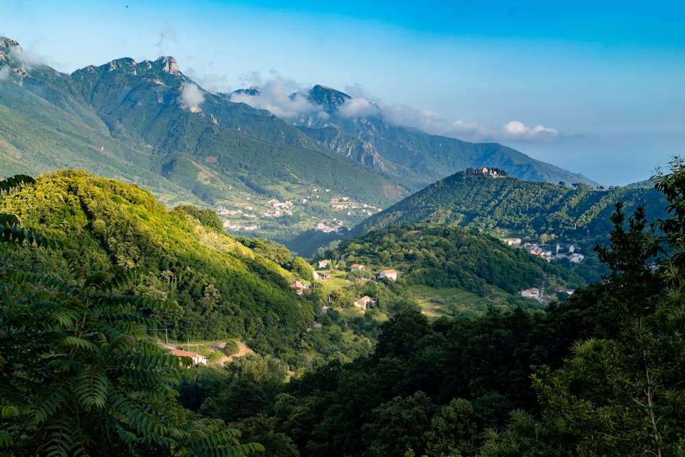 a valley with trees and mountains in the background