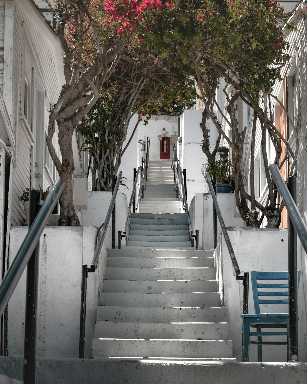 a staircase with flowers on it