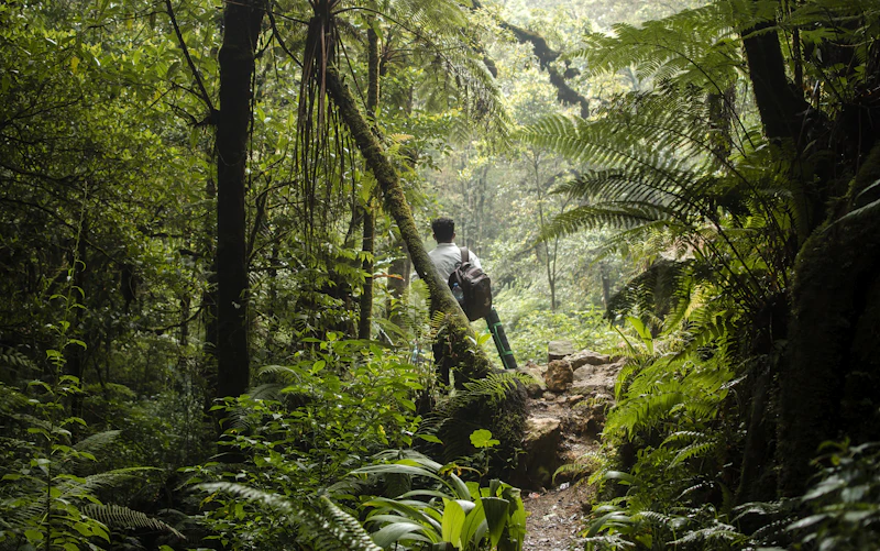 Nature trails at Deru Alam Campsites