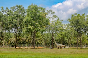 A well-maintained grassy area with a mixture of tall trees and a clear blue sky scattered with fluffy clouds. A large dinosaur sculpture stands among the trees, giving an impression of a prehistoric scene.