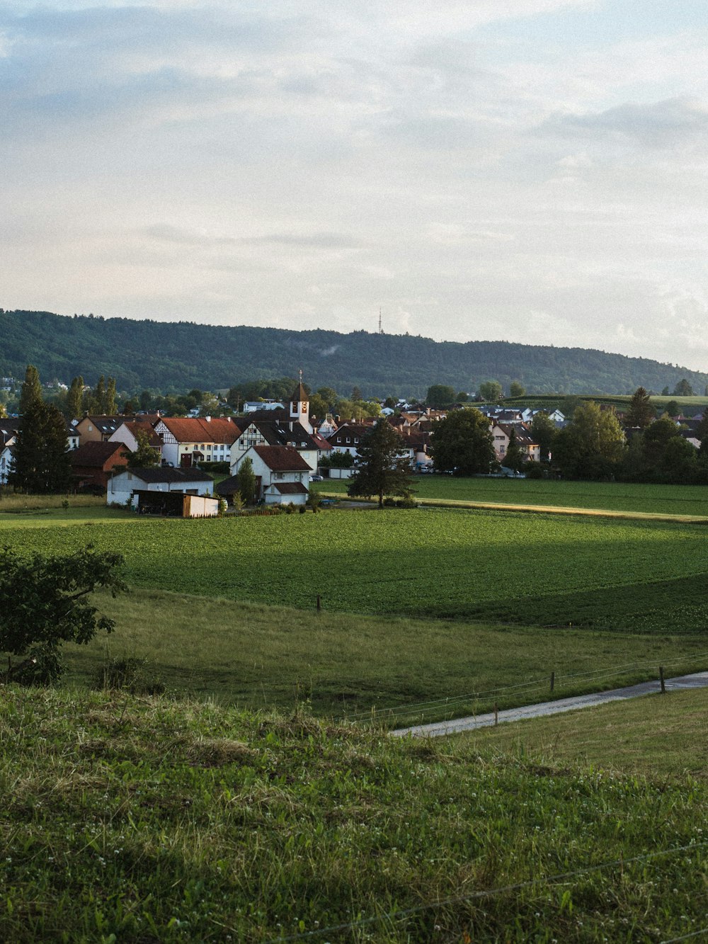 a green field with houses and trees