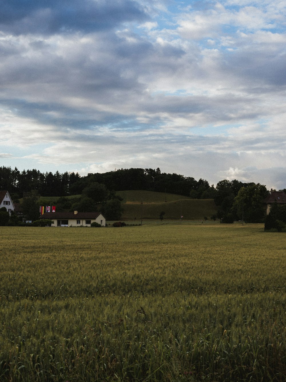 a large grassy field with buildings in the background