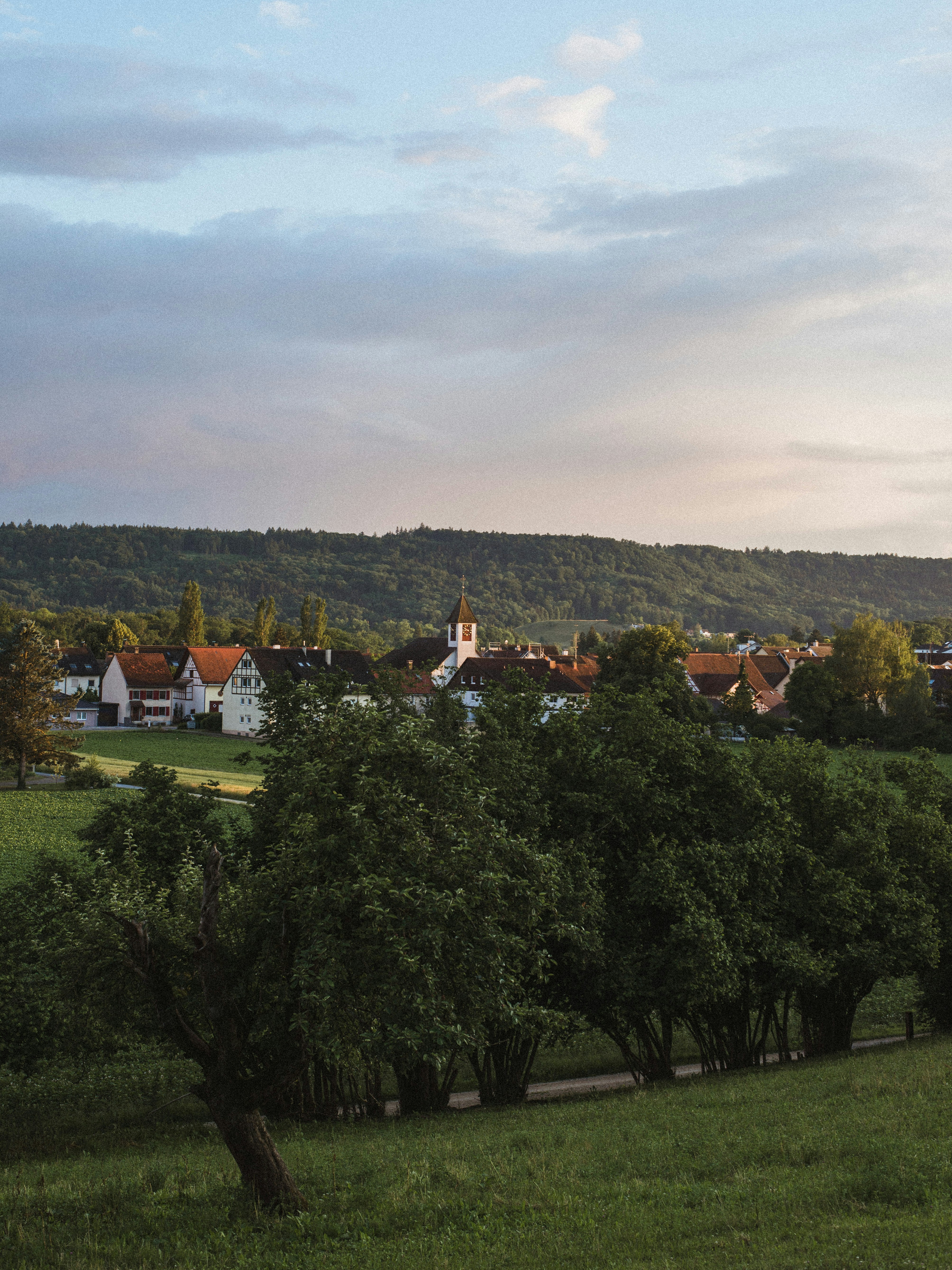 Photo by gabor_veres