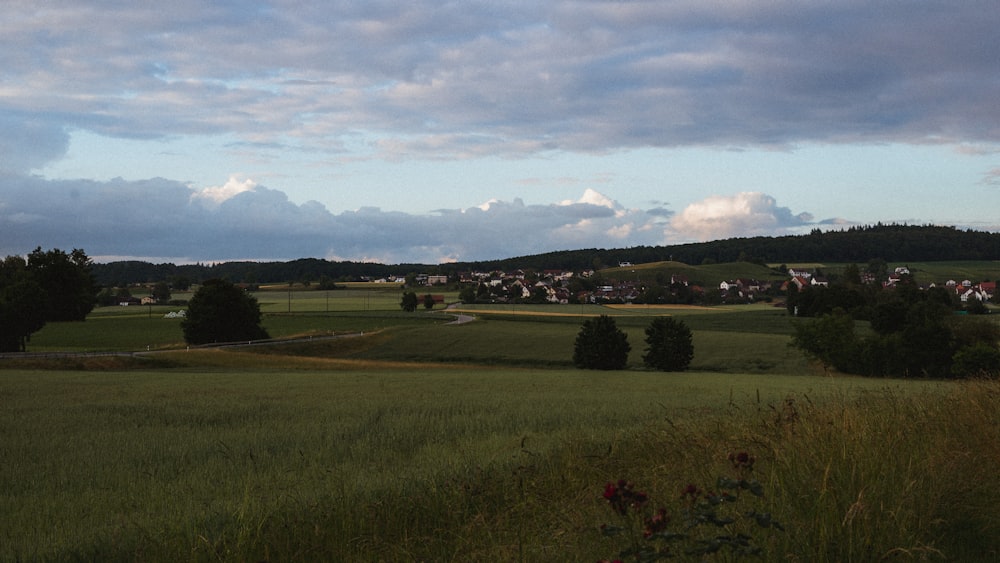 a large green field with trees and buildings in the distance