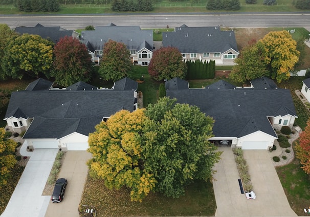 a group of houses and trees