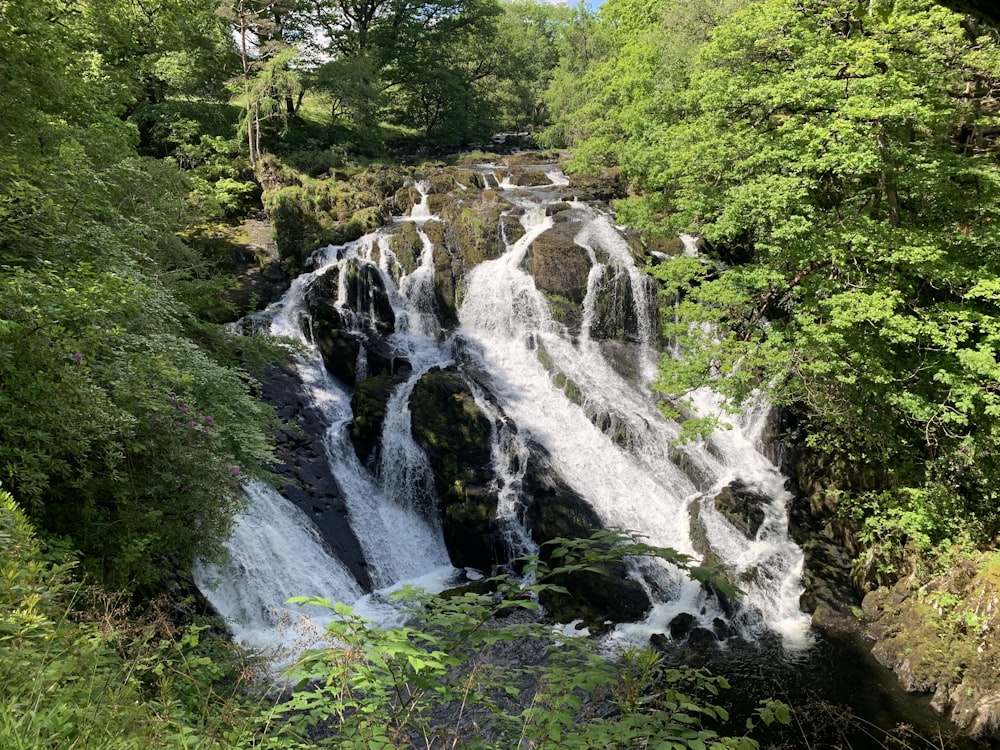 a waterfall in a forest