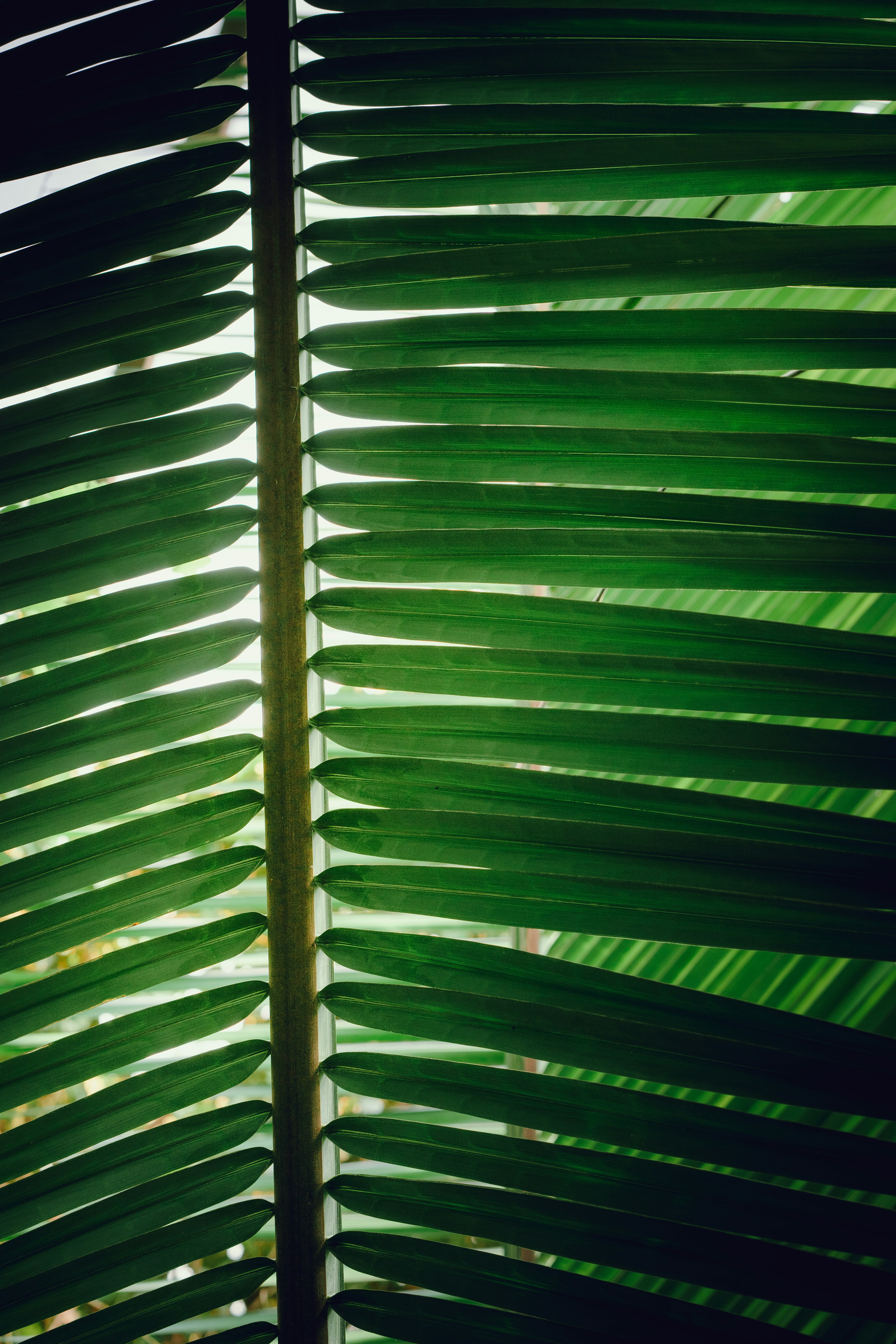 Photo by benaja_photos