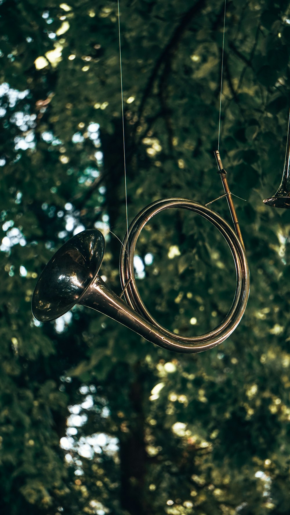 Un arbre avec des lumières