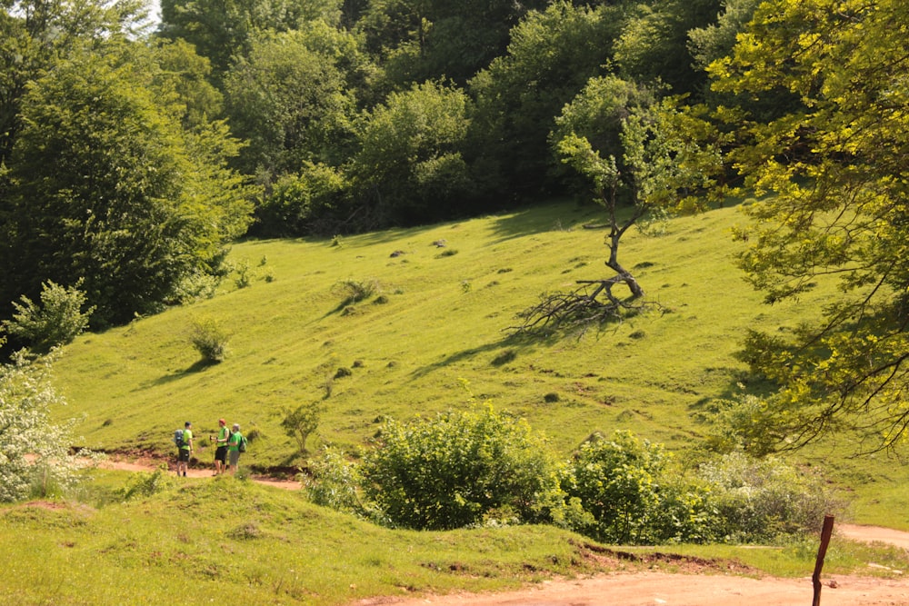 a group of people walking on a grassy hill