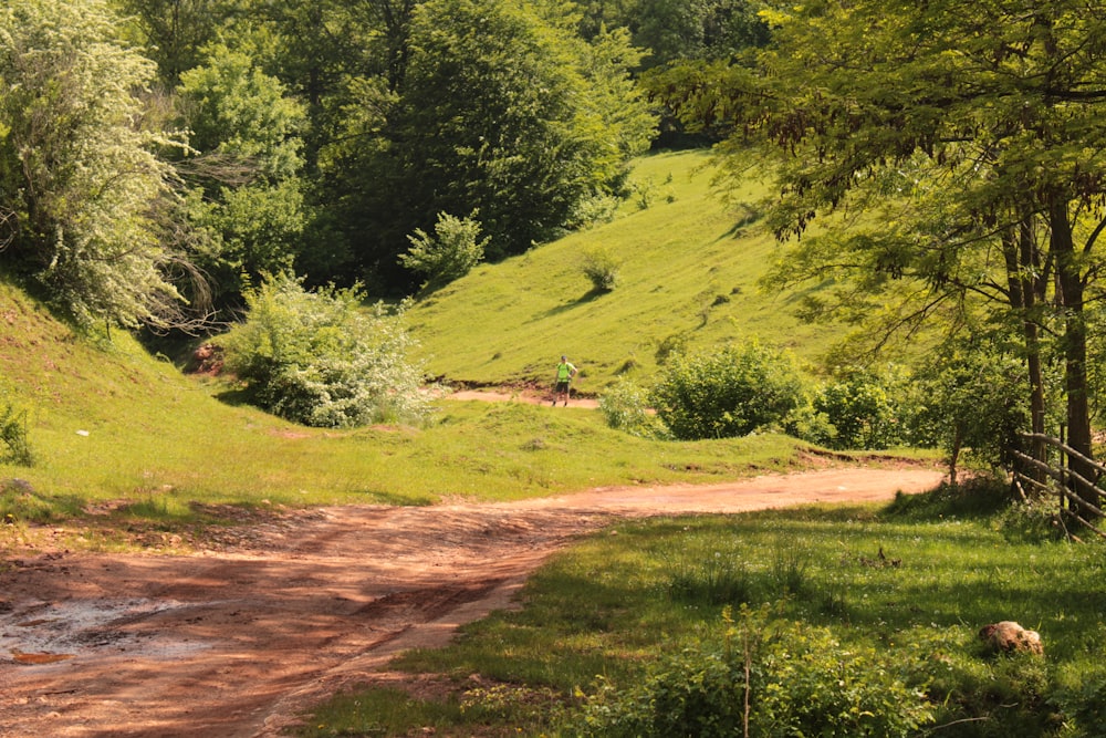 a dirt road in a grassy area