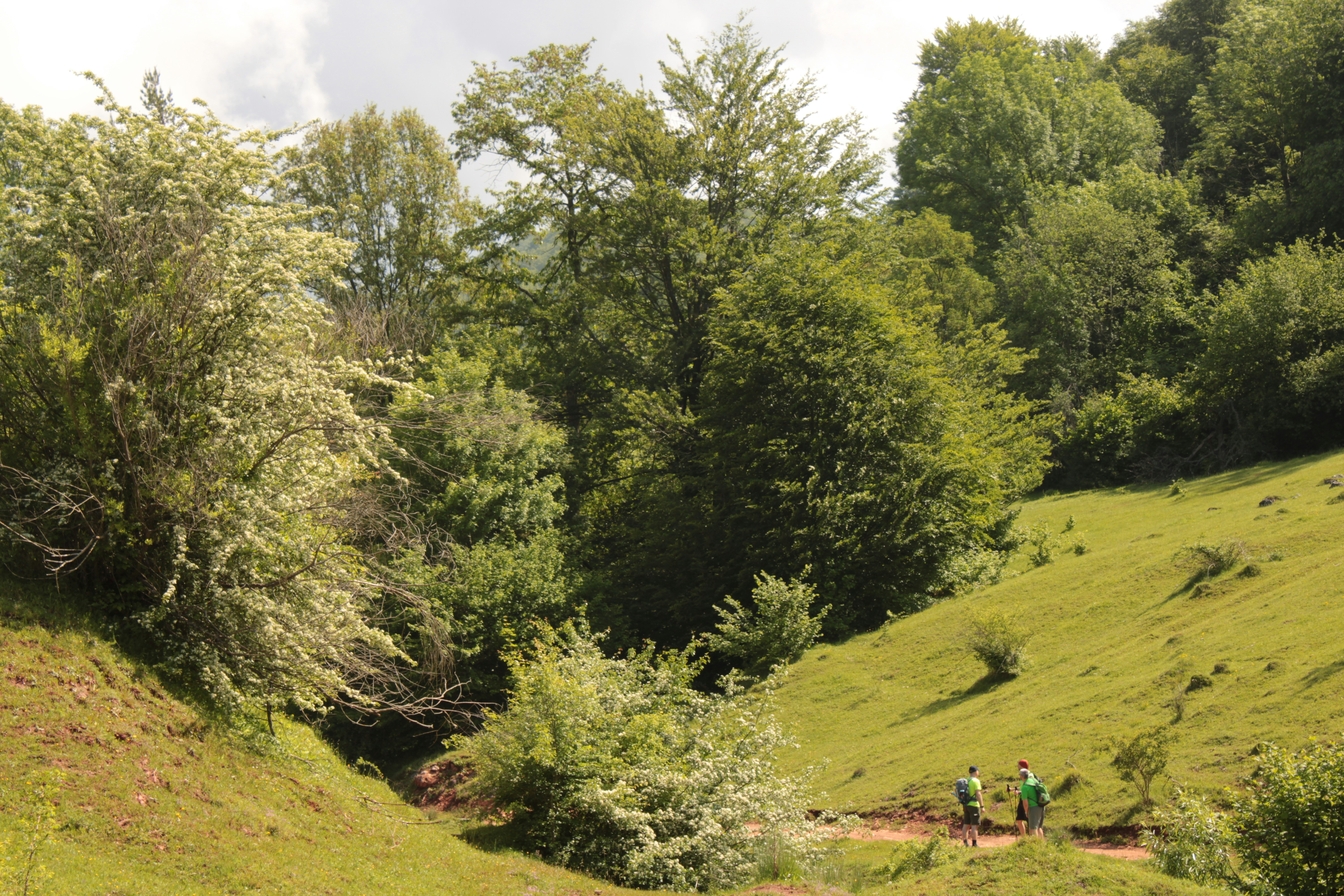 Photo by thorai9akira