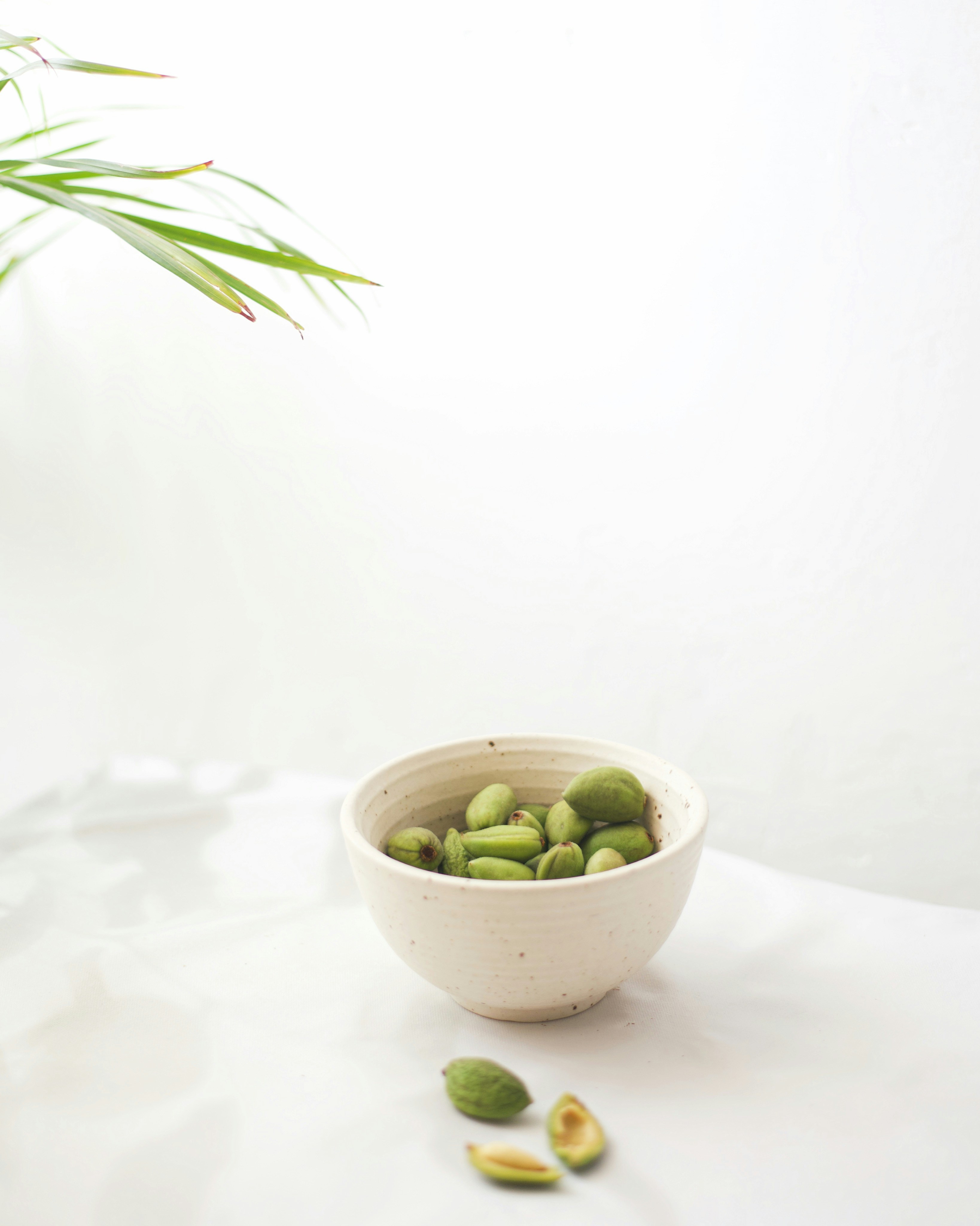 Photo by pratiksha_mohanty