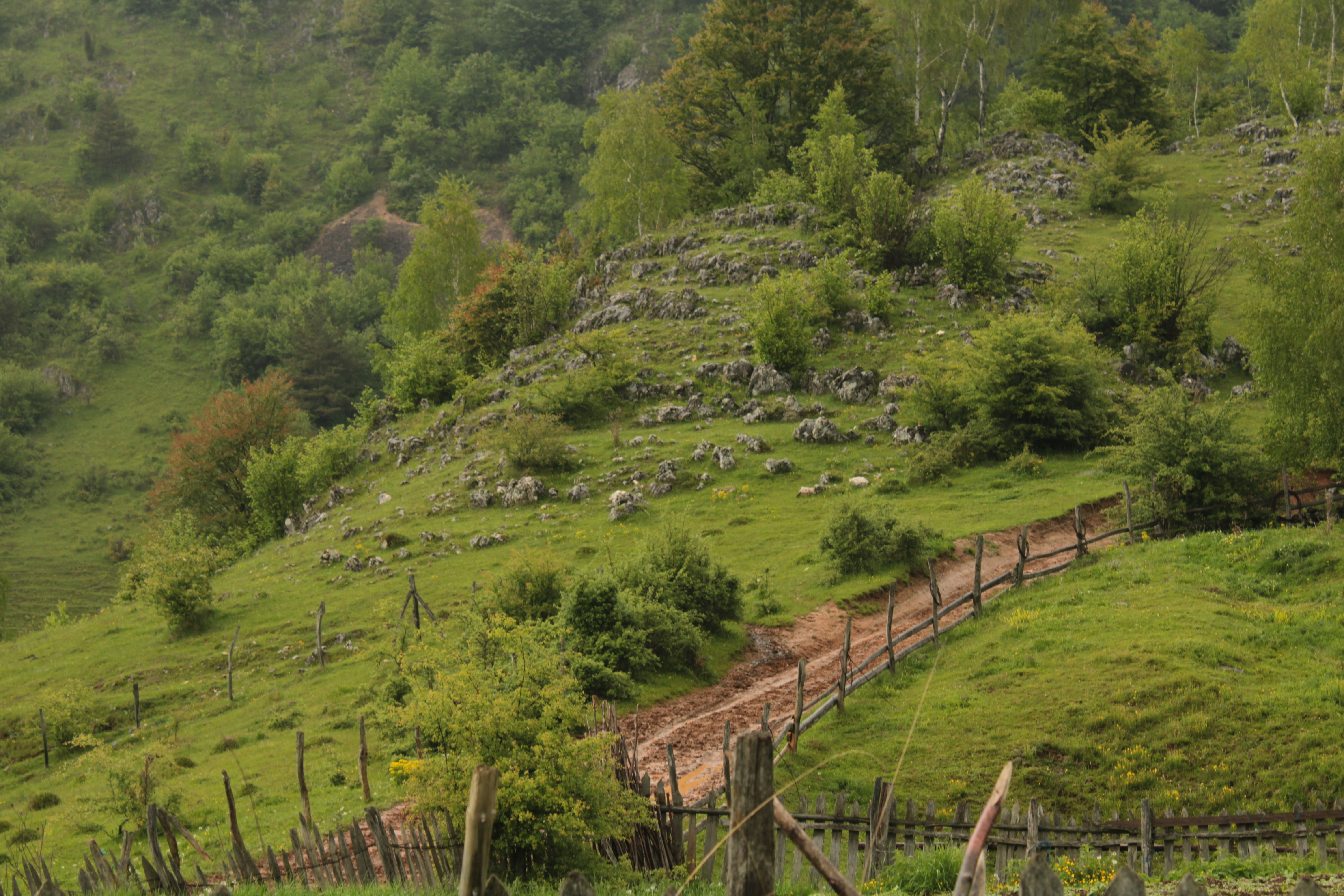 Photo by thorai9akira