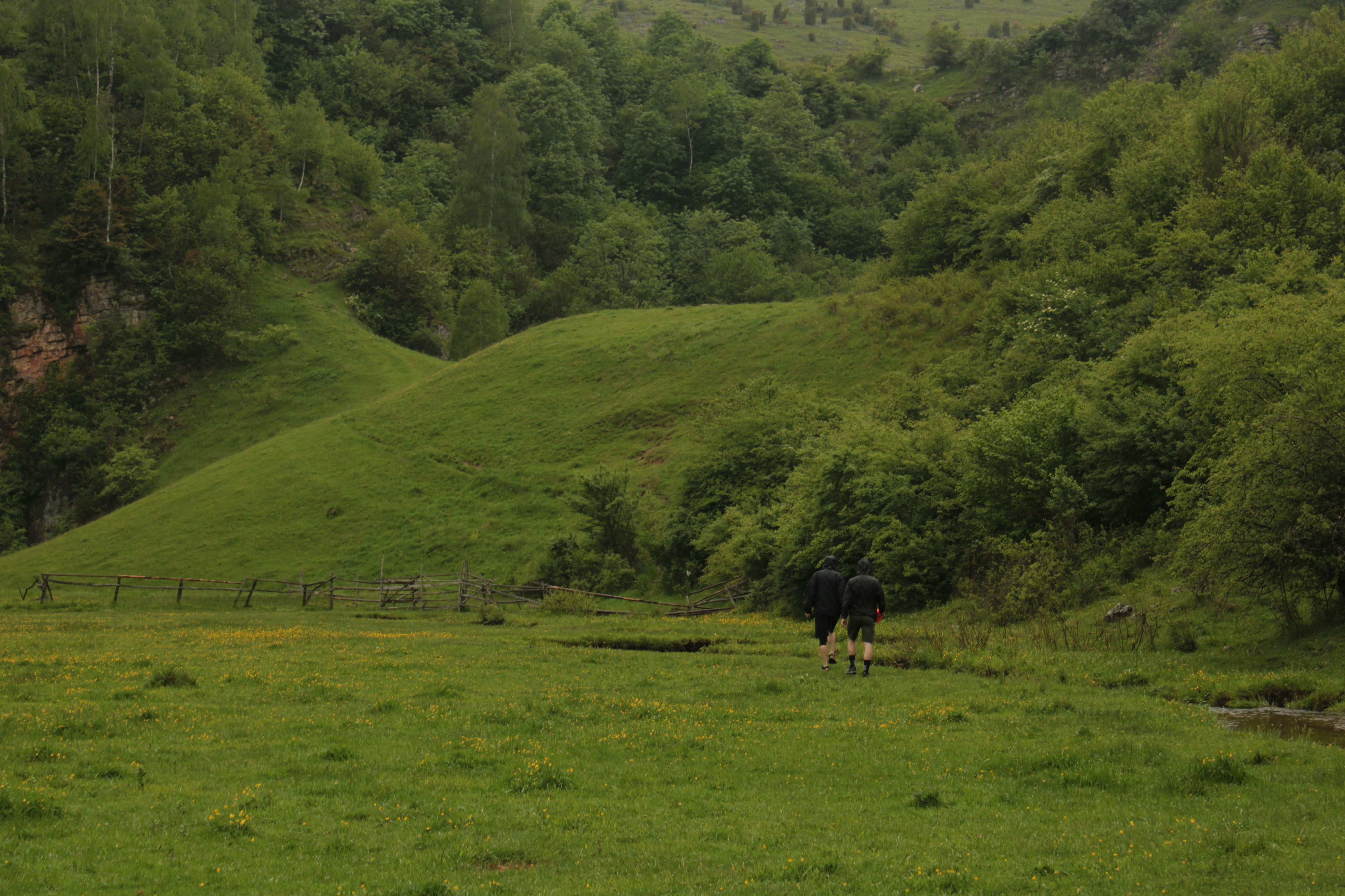 Photo by thorai9akira