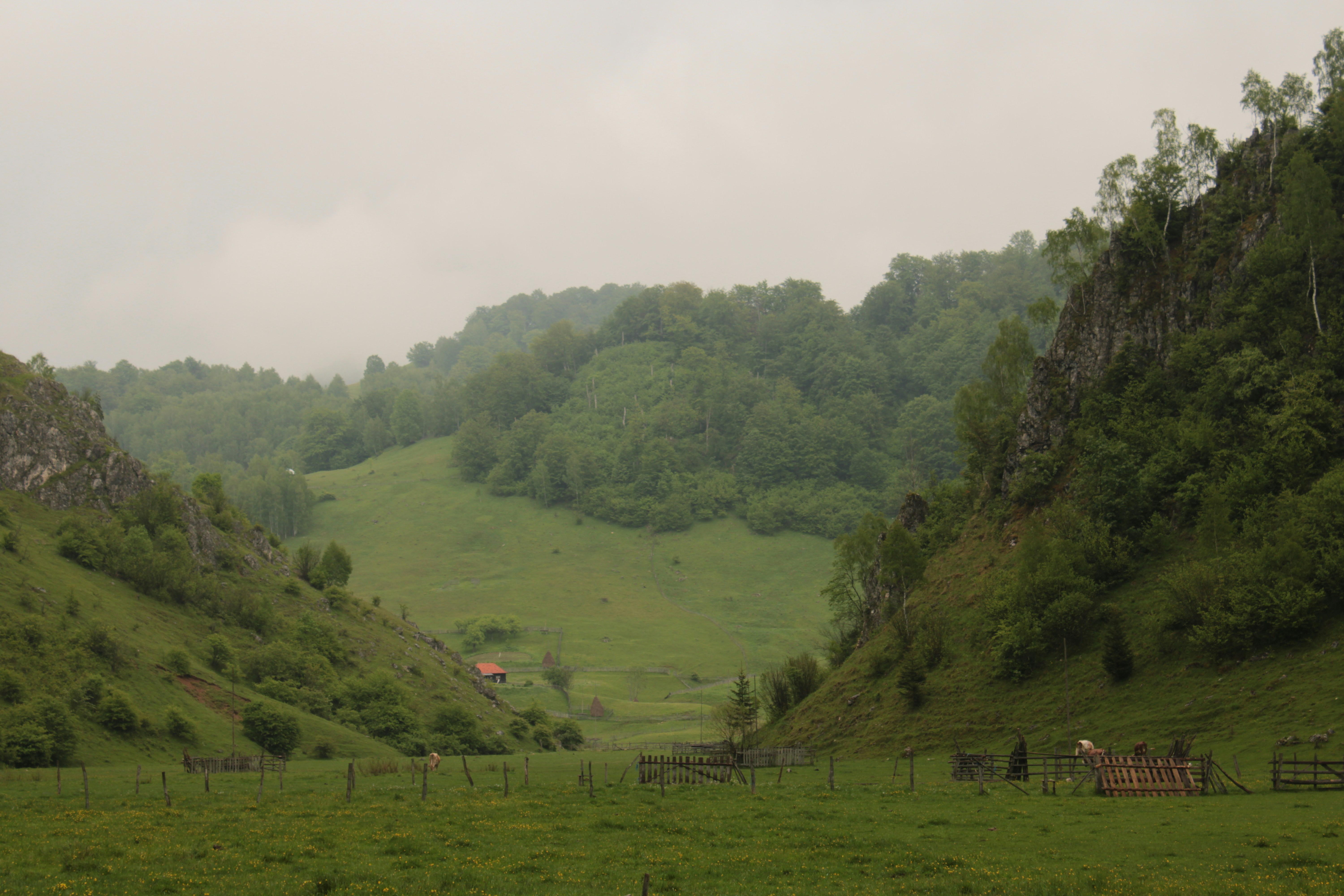 Photo by thorai9akira