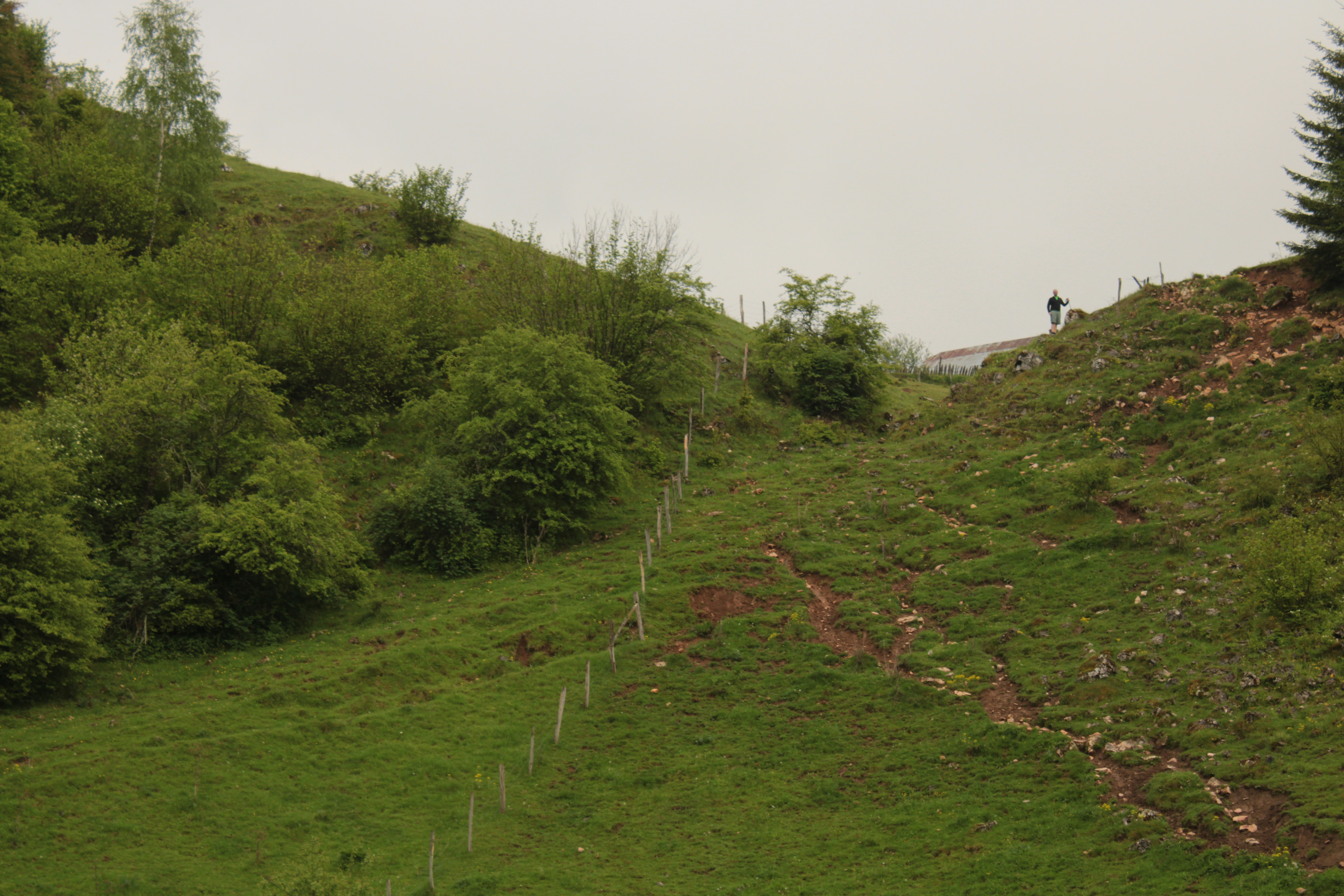 Photo by thorai9akira