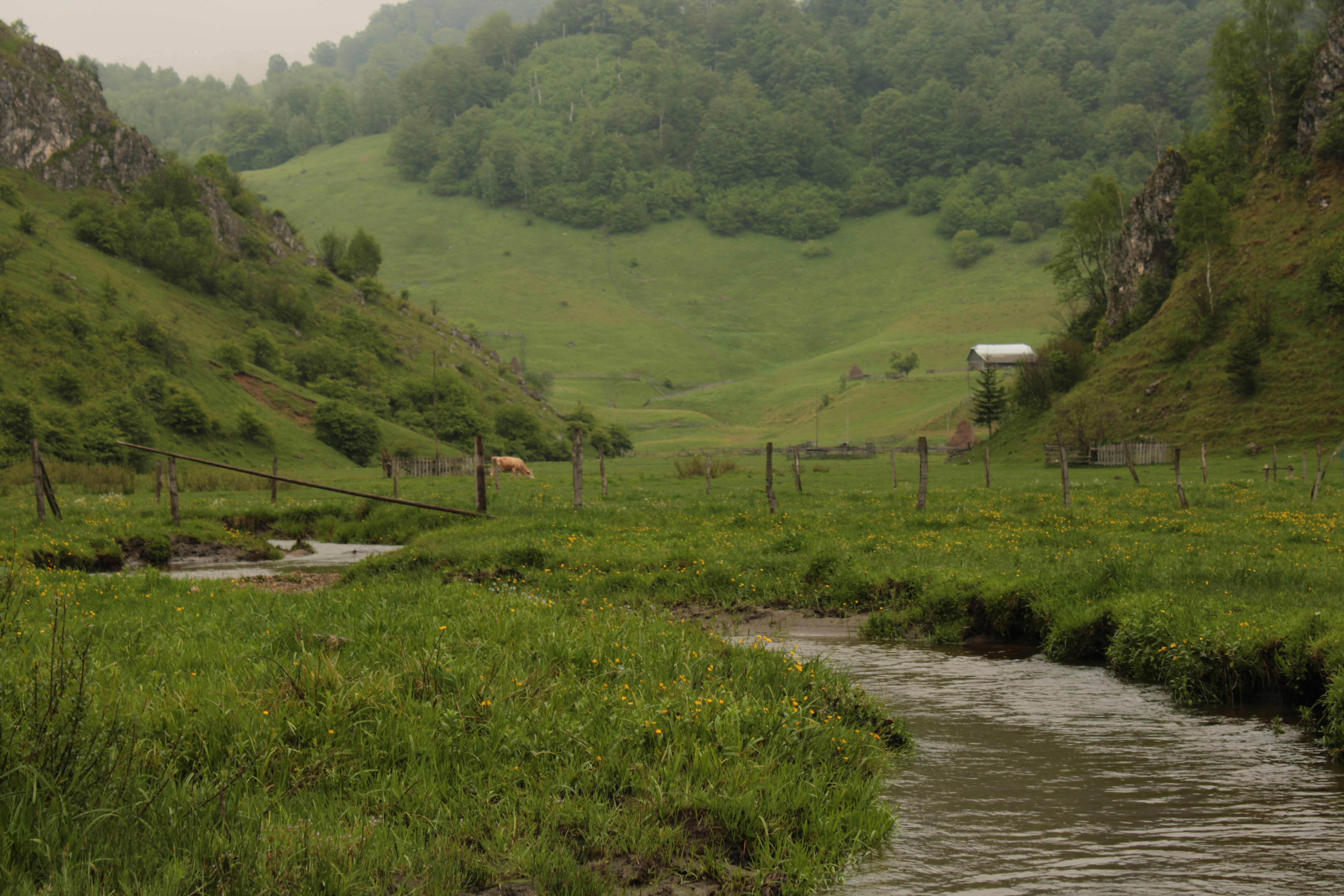 Photo by thorai9akira