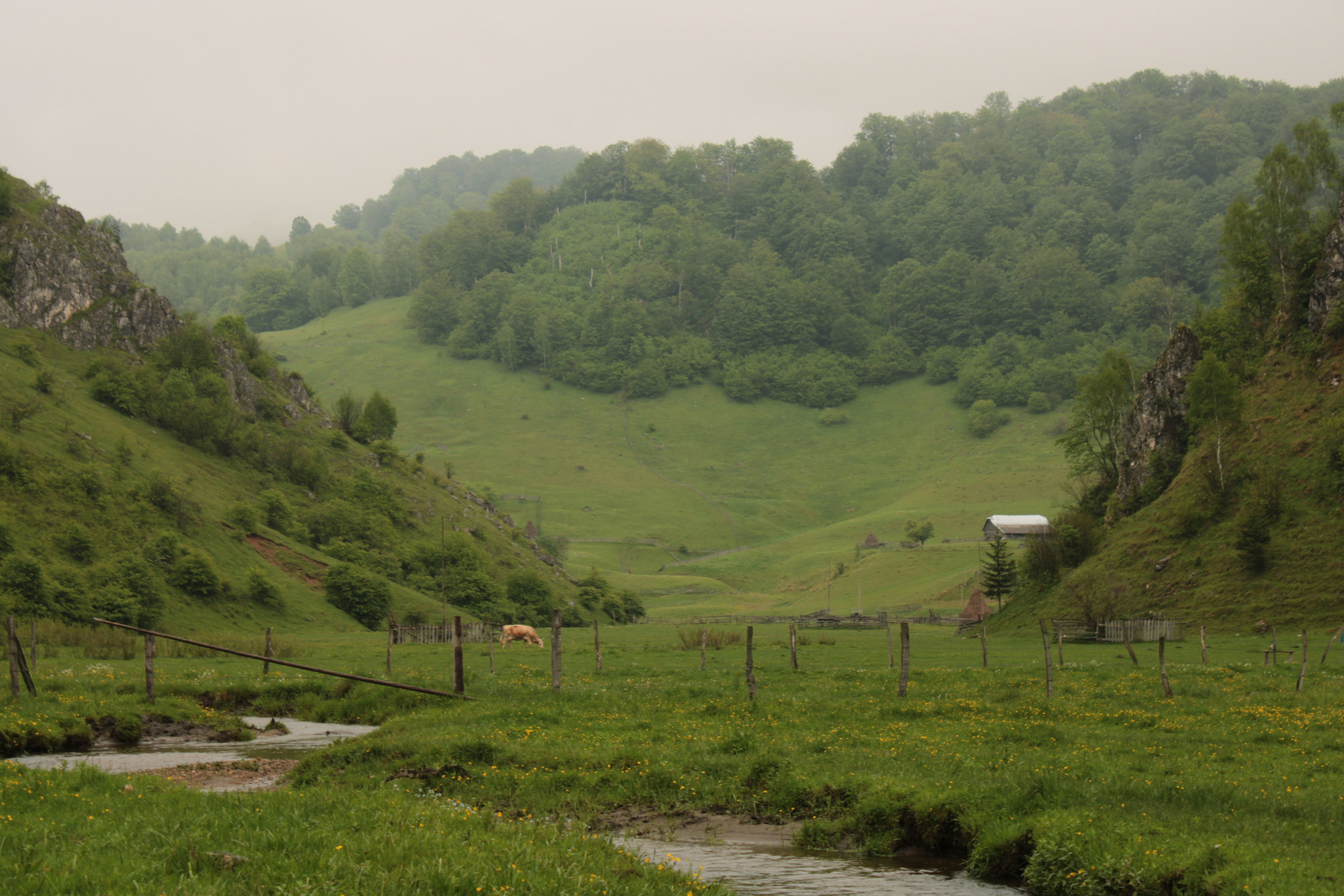 Photo by thorai9akira