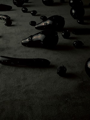 Several glossy, black, sculpted objects resembling animal heads and bodies are scattered on a dark surface. The objects have smooth, shiny textures and appear abstract and artistic in form.