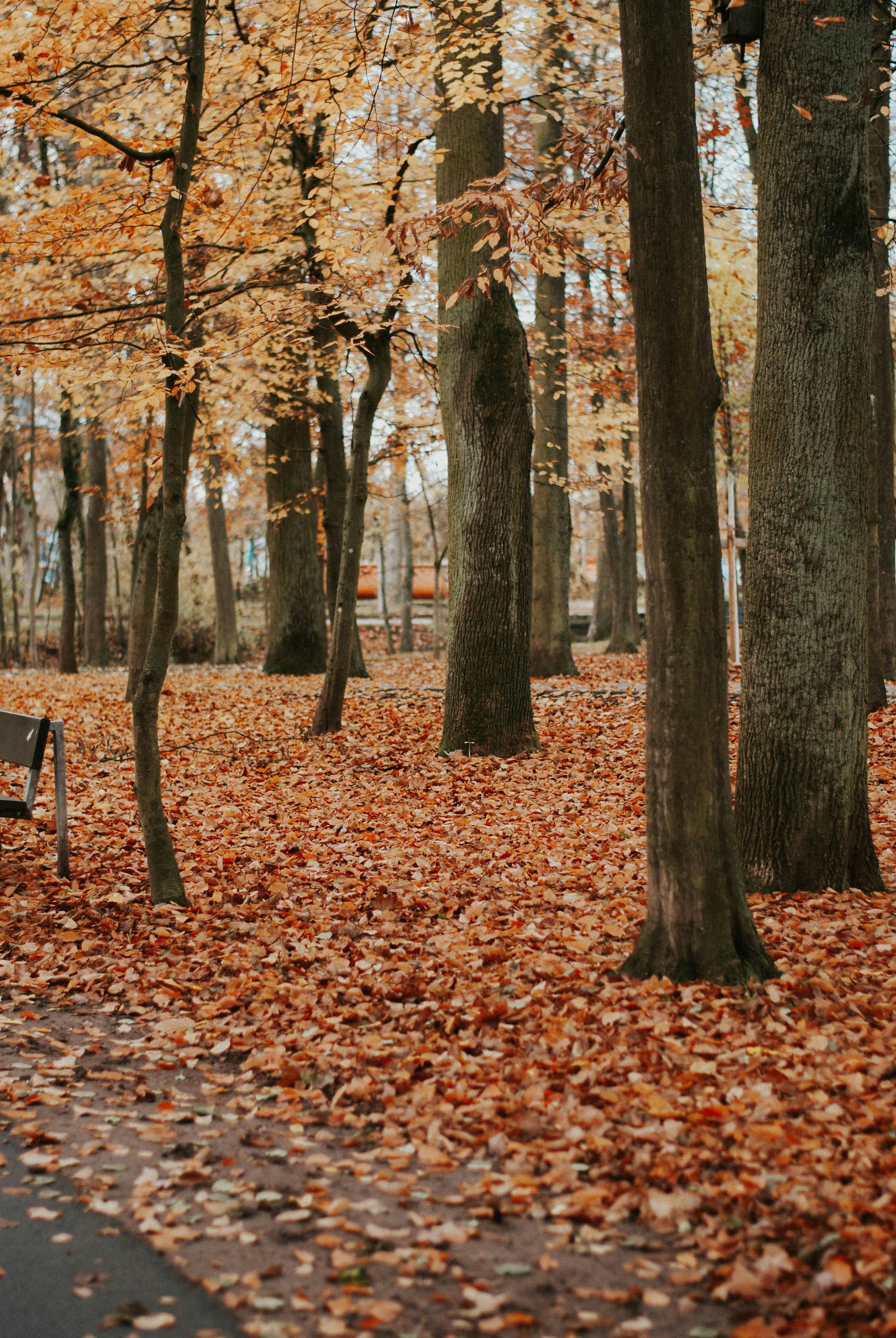 Photo by danielmcguire