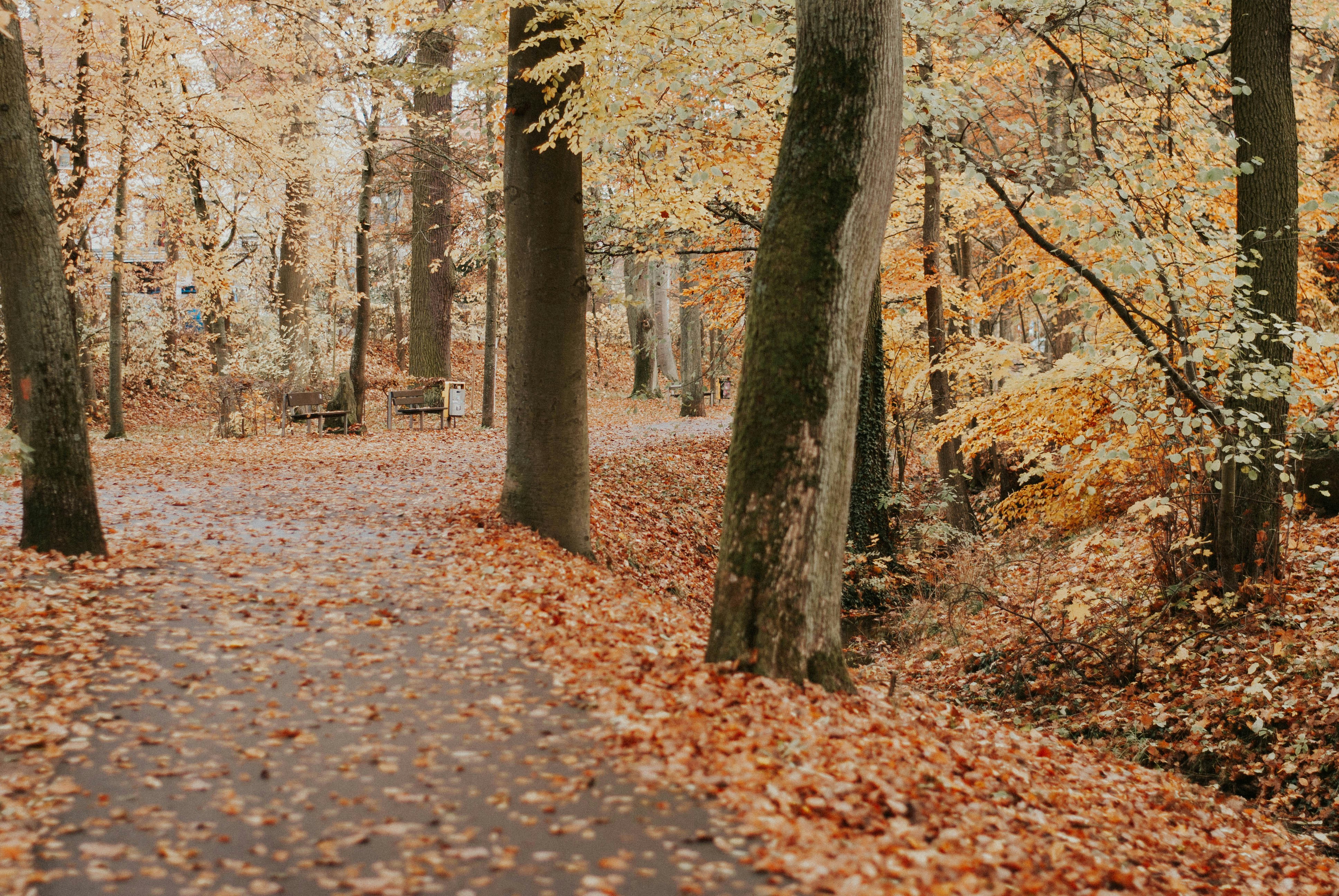 Photo by danielmcguire