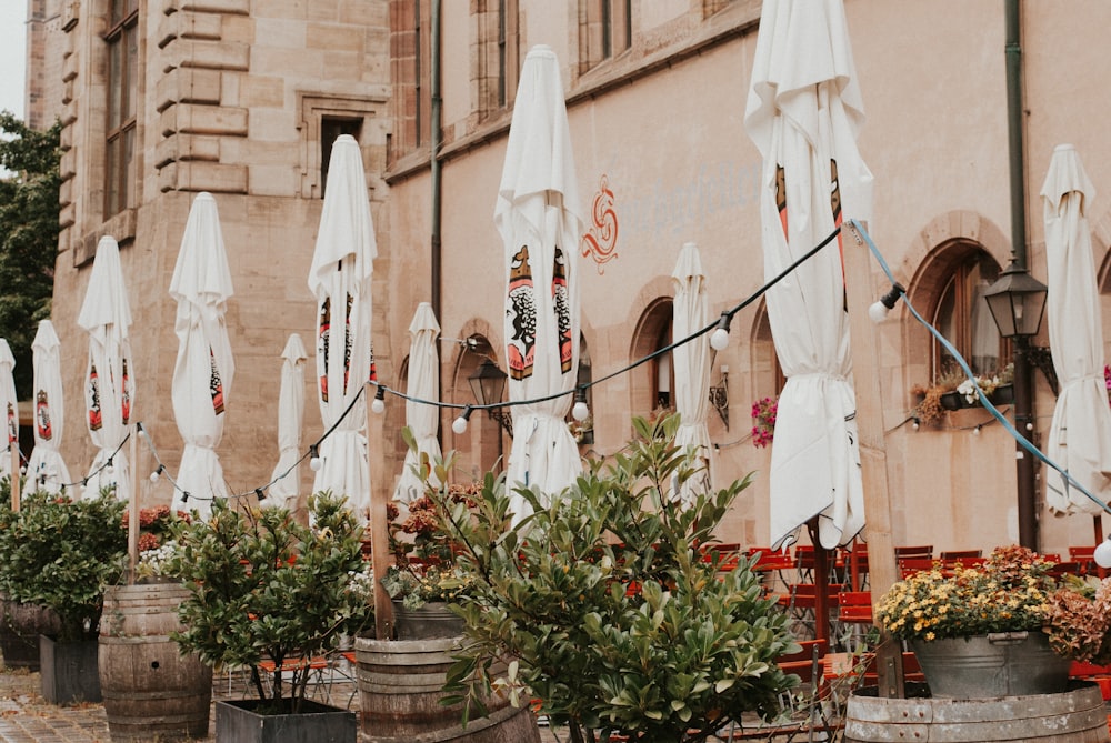 a row of white umbrellas