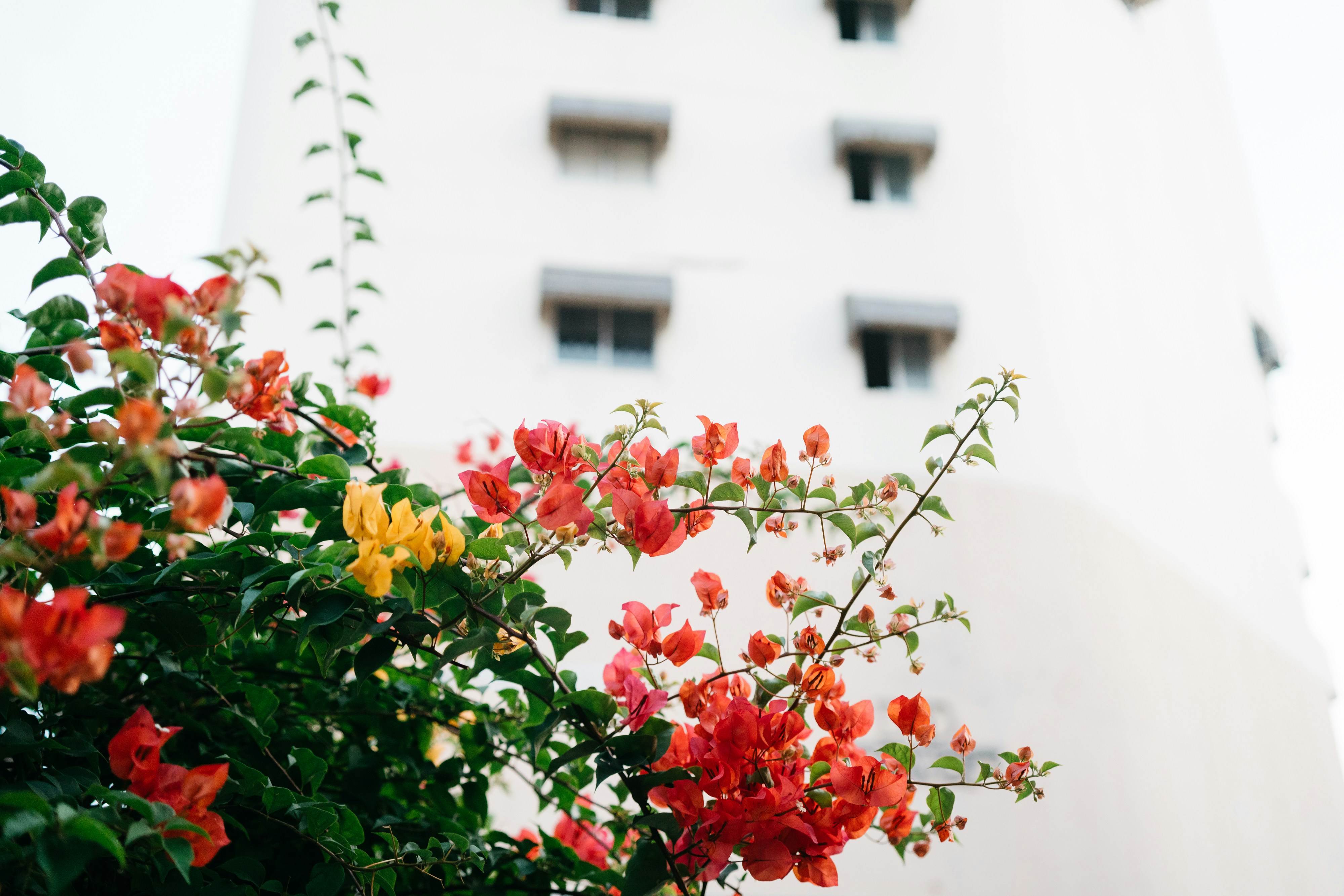 Photo by markuswinkler