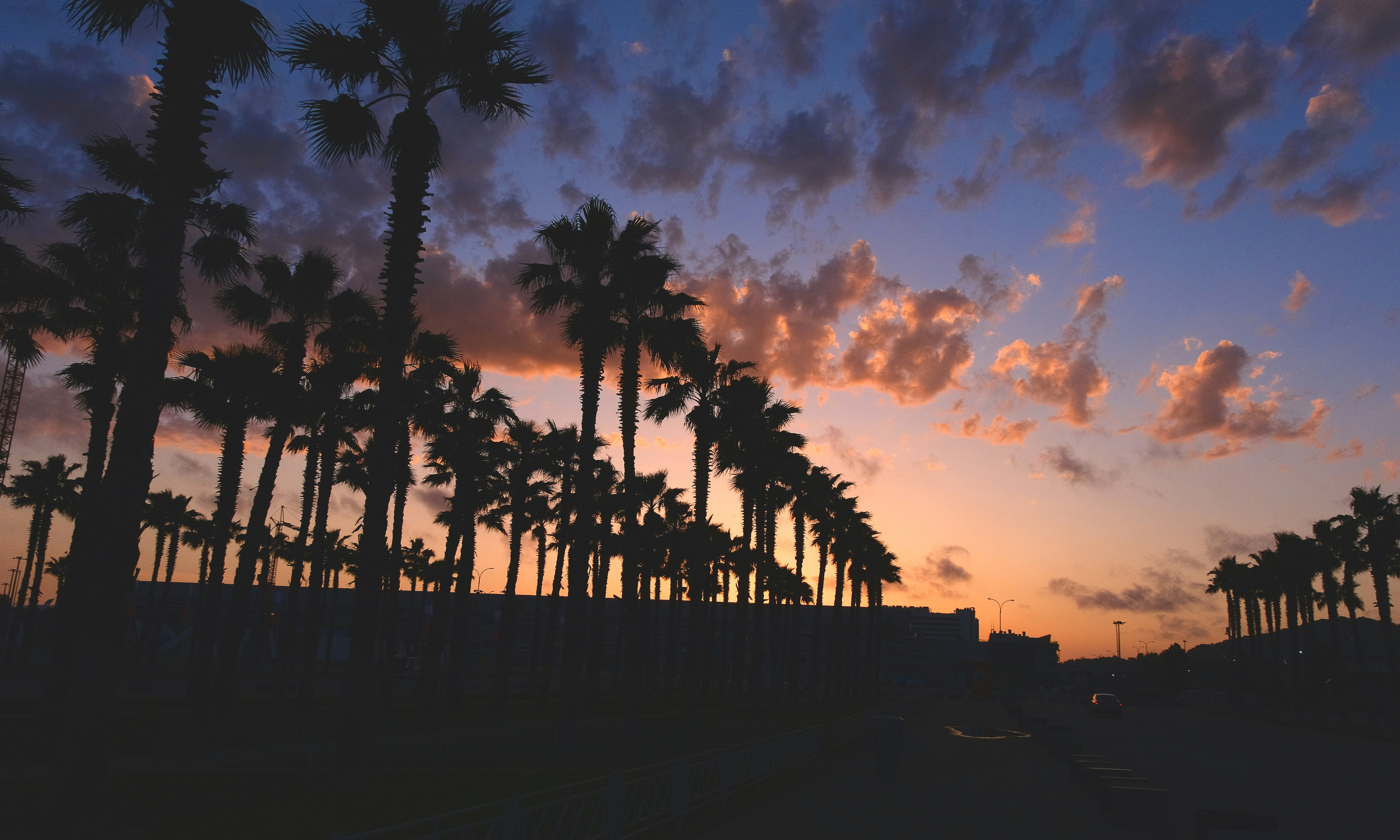 Photo by mrparalloid