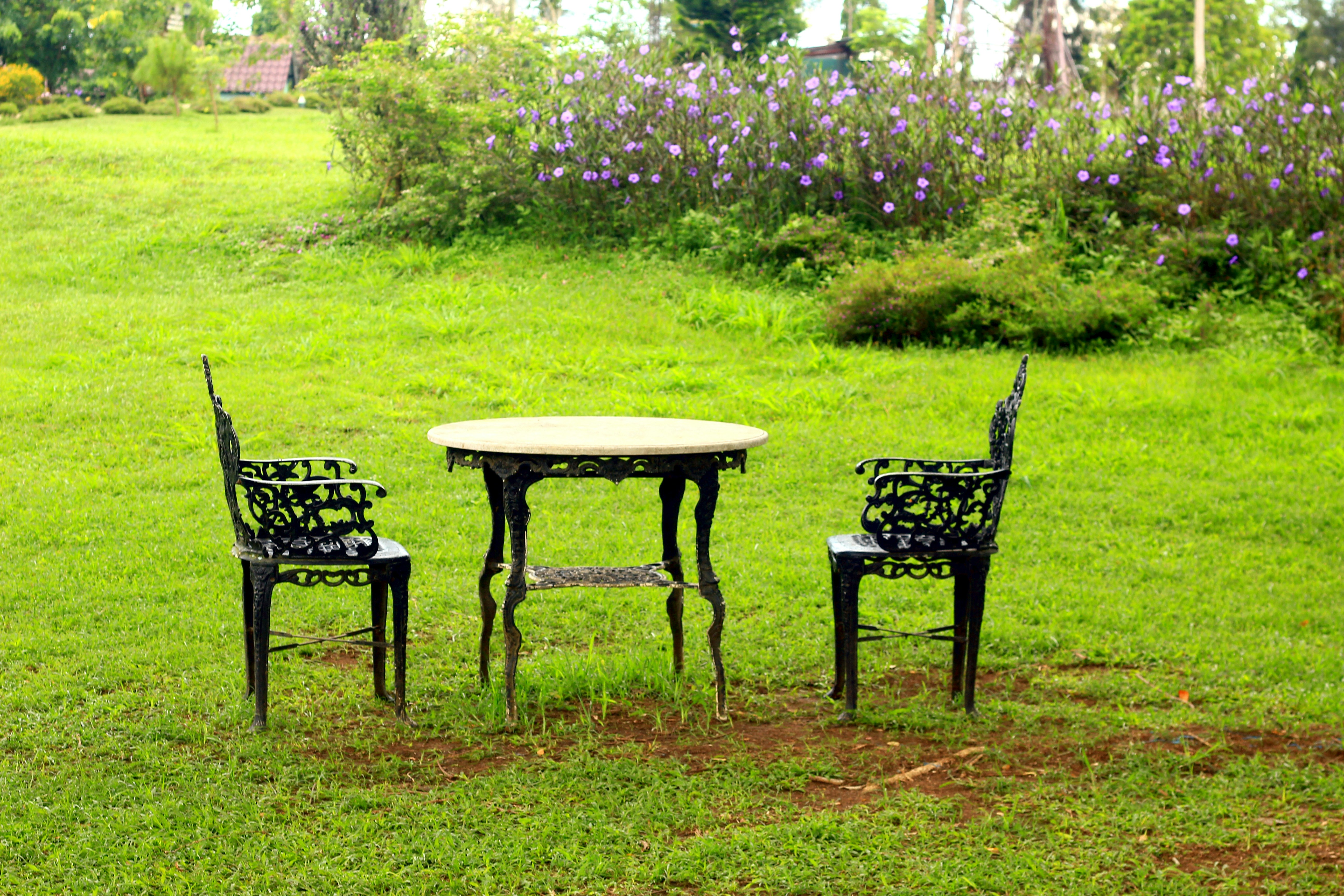 a table and chairs in a yard