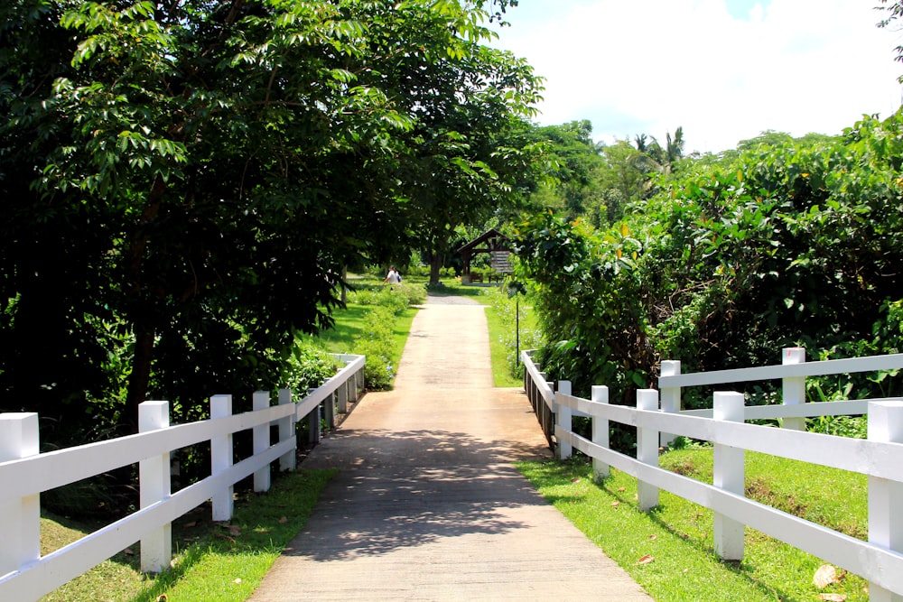 a path with white railings and trees on either side of it
