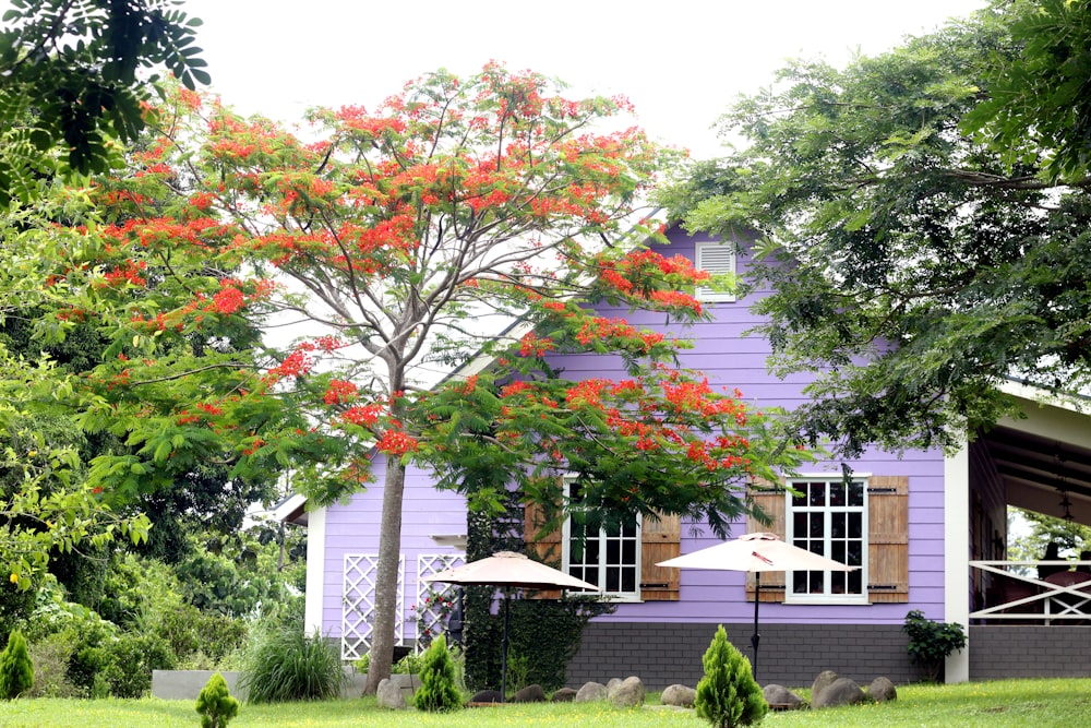 a house with trees and bushes in front of it