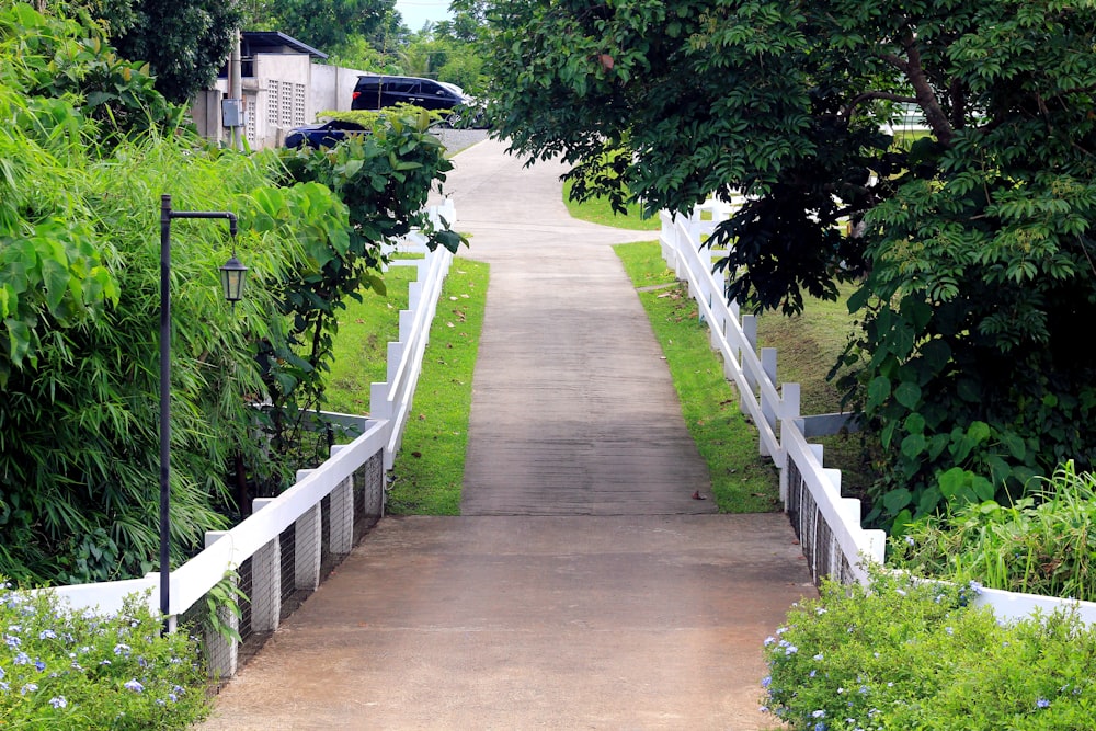 a wooden walkway with white railings and trees on either side