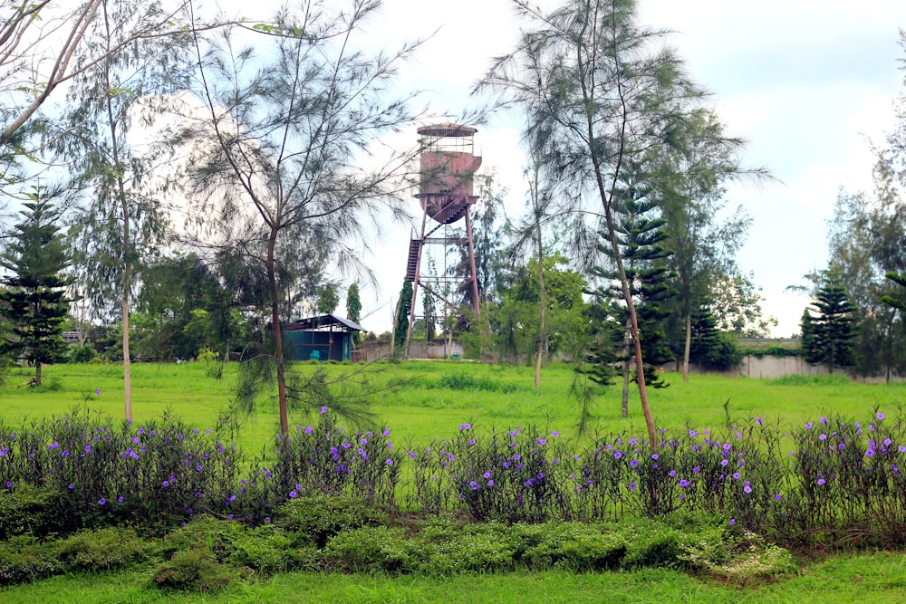 a windmill in a field