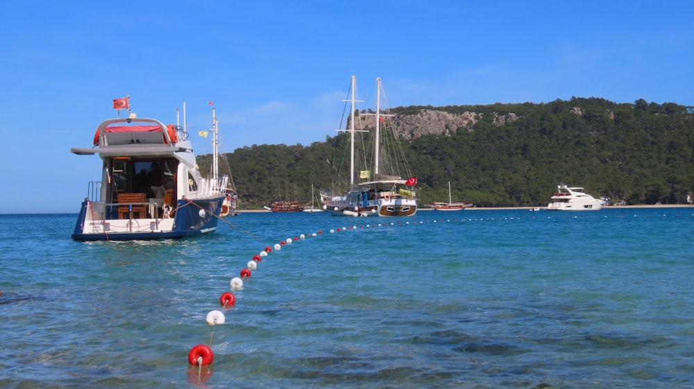 boats in the water